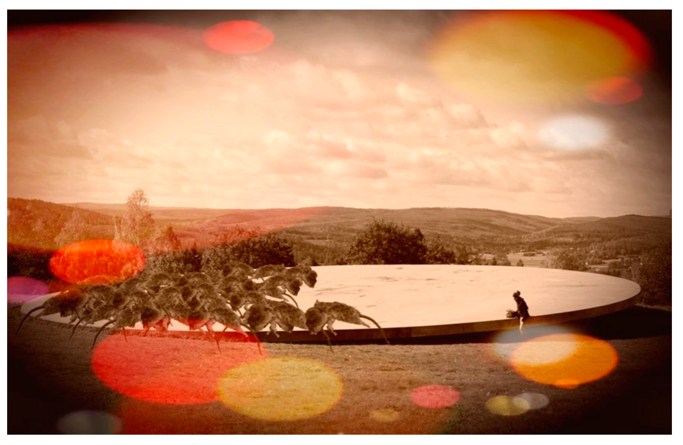 Education 11 00778 g008 550