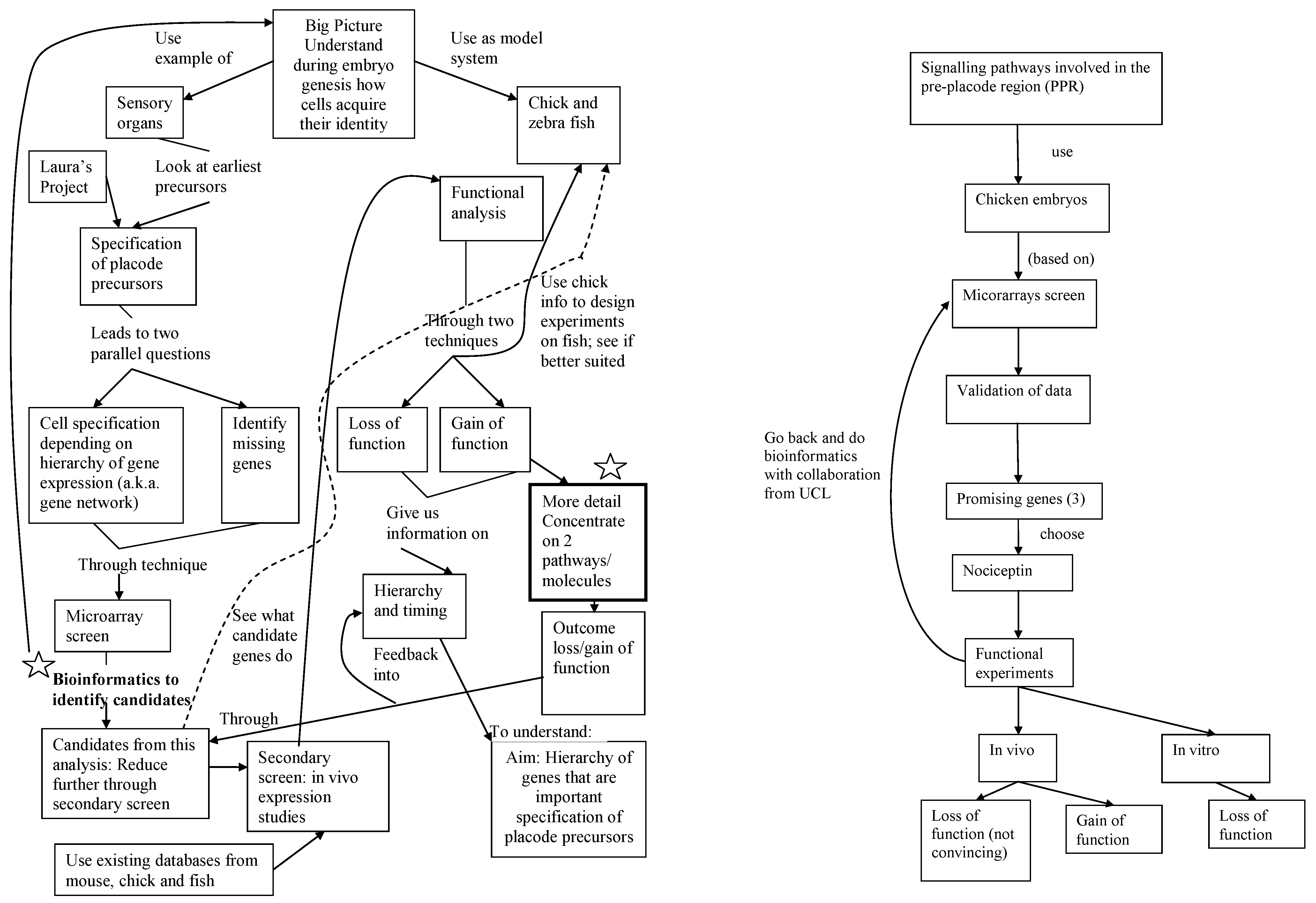 Education 12 00121 g002 550