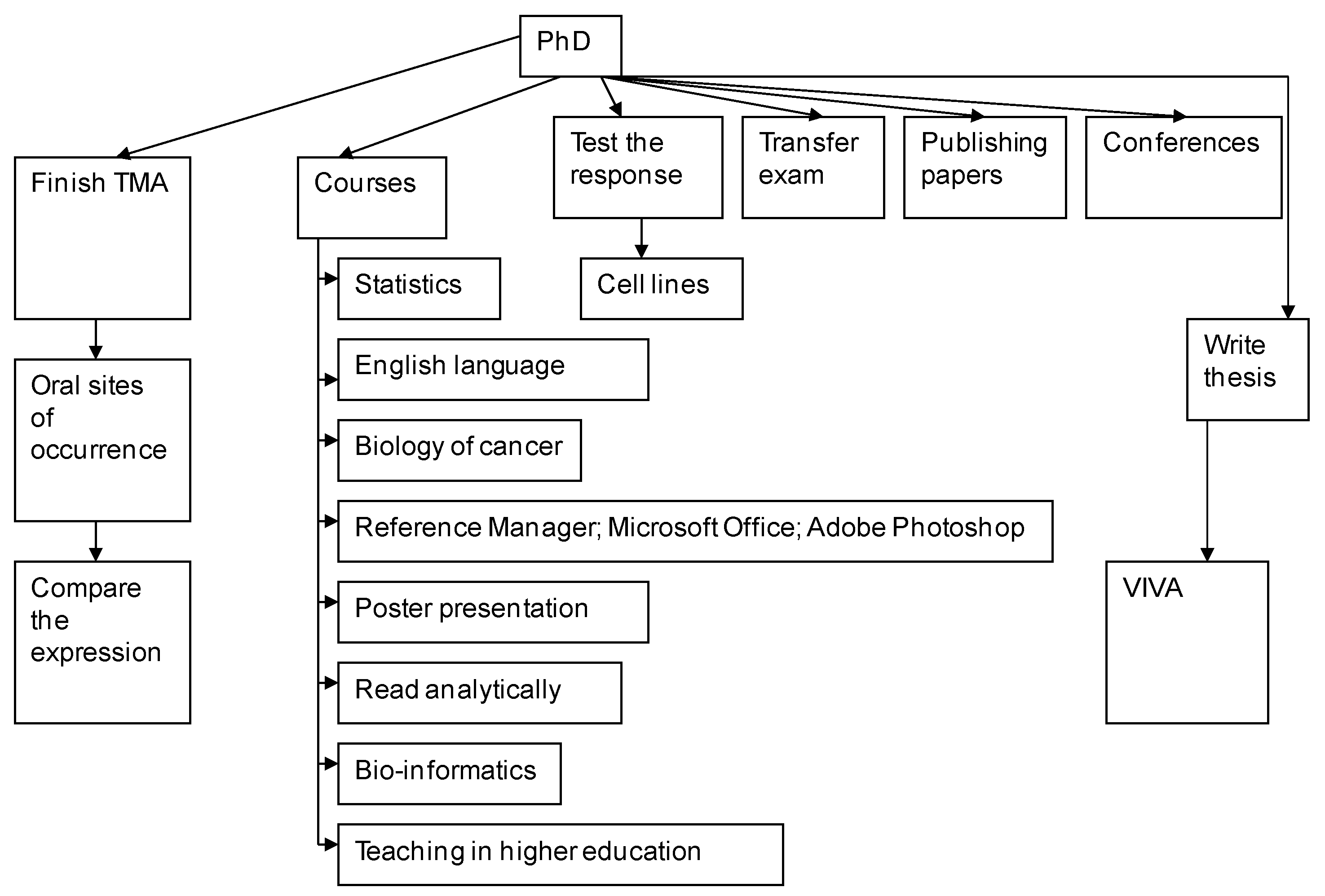Education 12 00121 g004 550