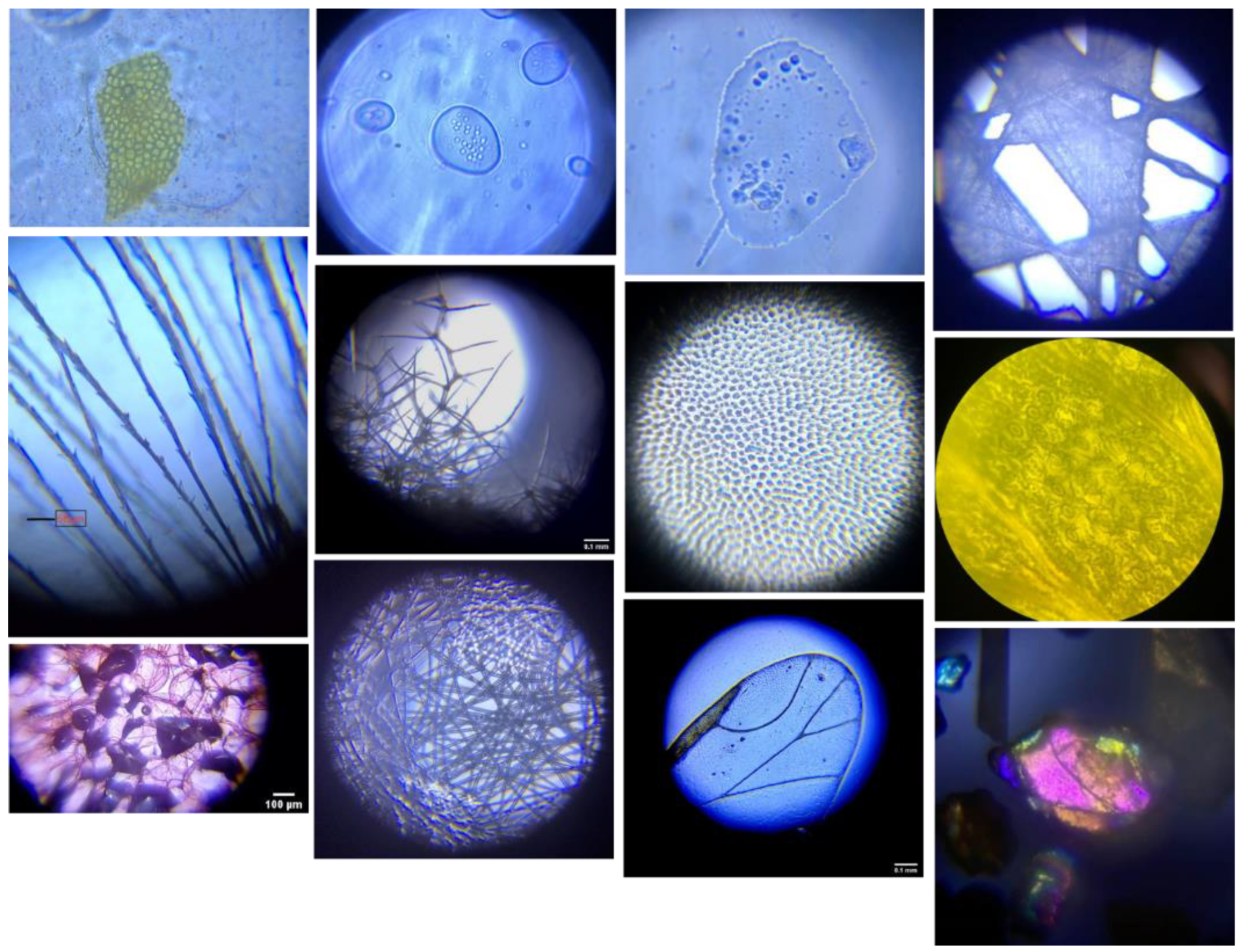 Education 12 00230 g001