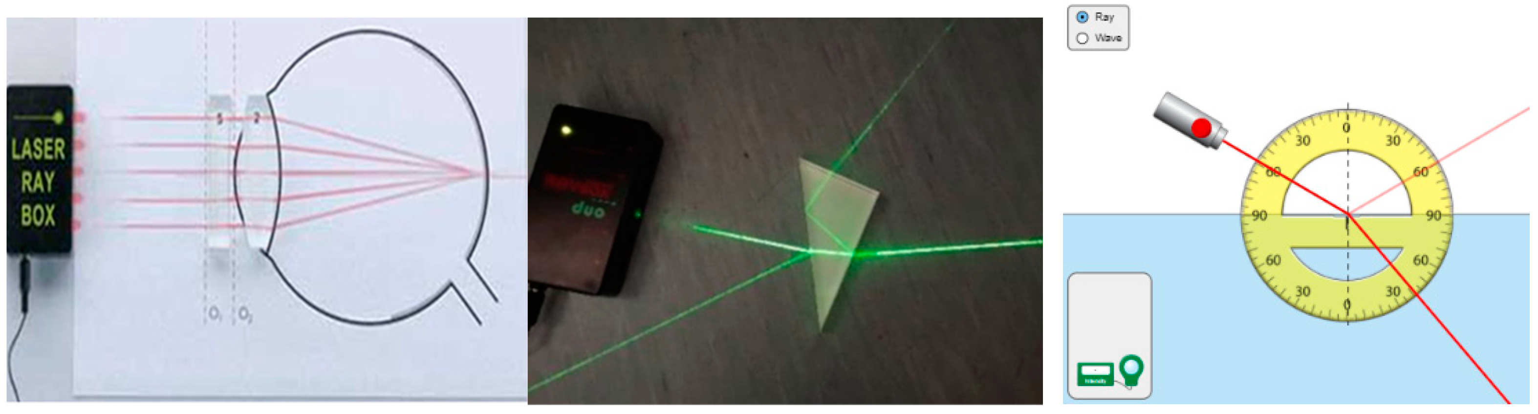 Education 12 00241 g005 550