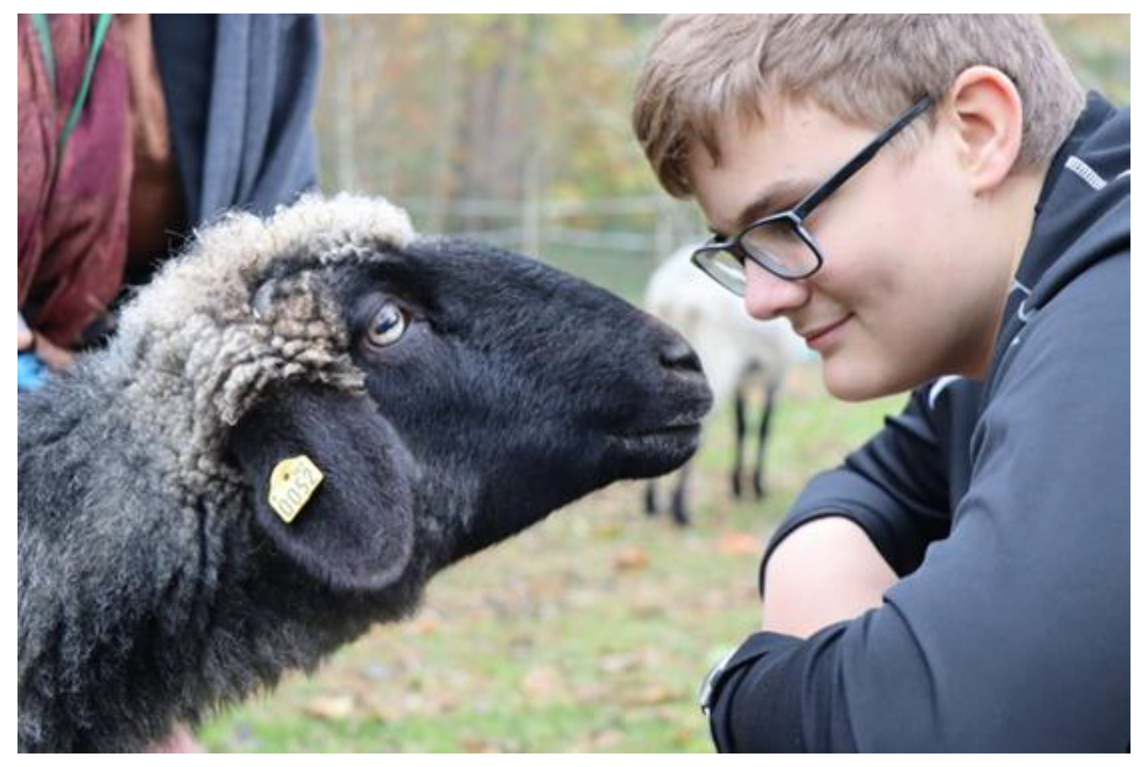 Education 12 00268 g002 550