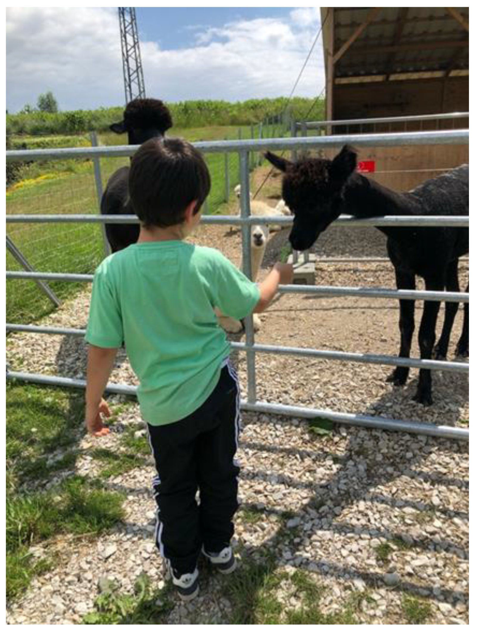 Education 12 00268 g003 550