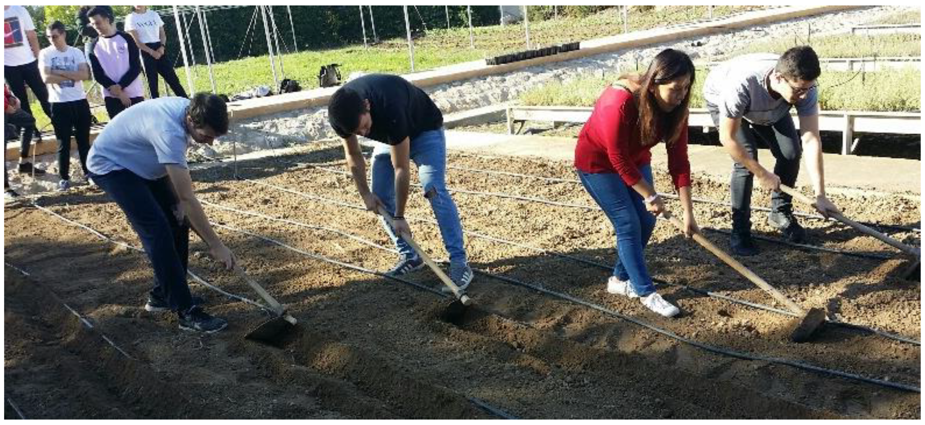 Education 12 00303 g001