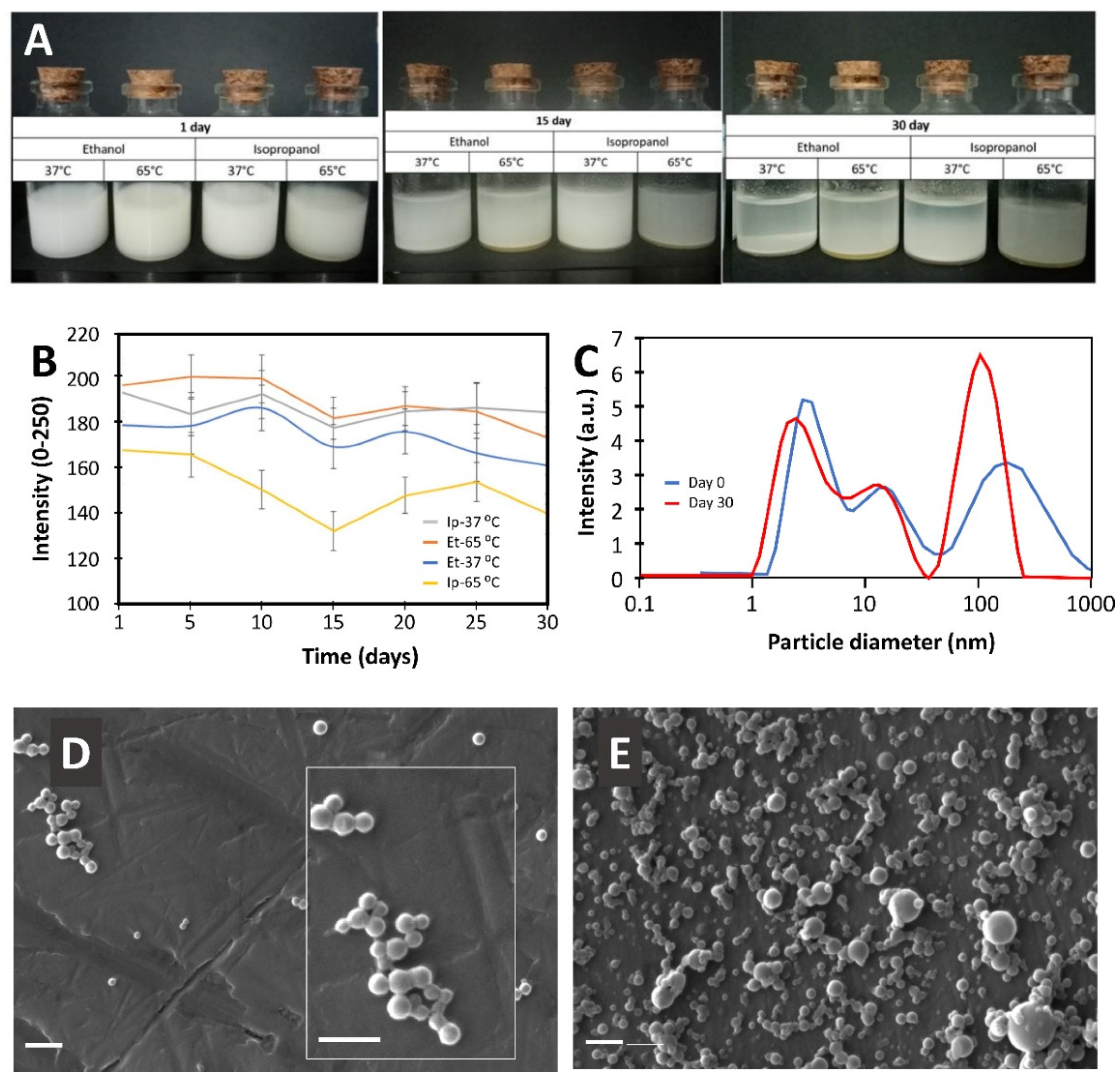 Education 12 00307 g002