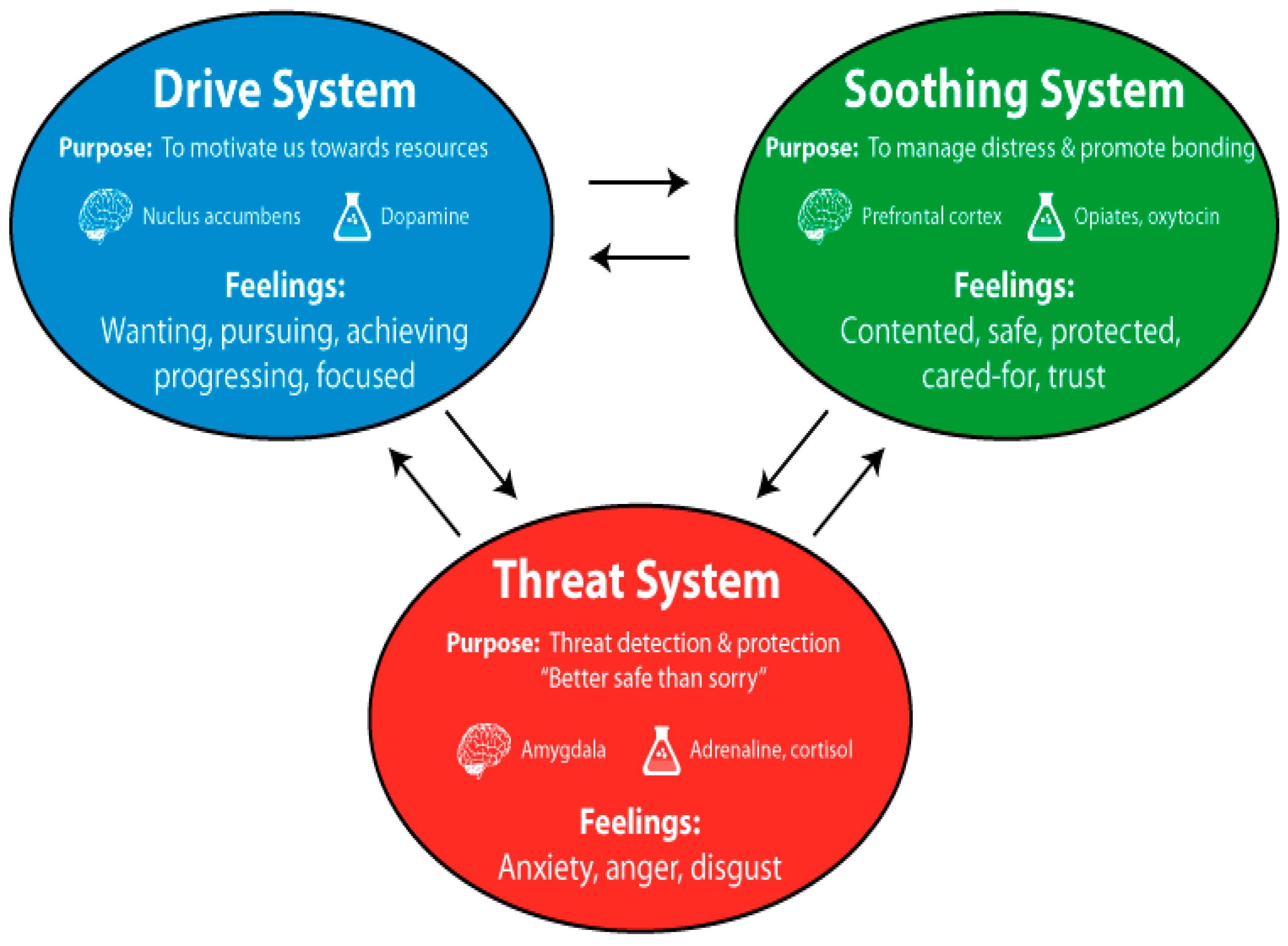 Education 12 00317 g001 550