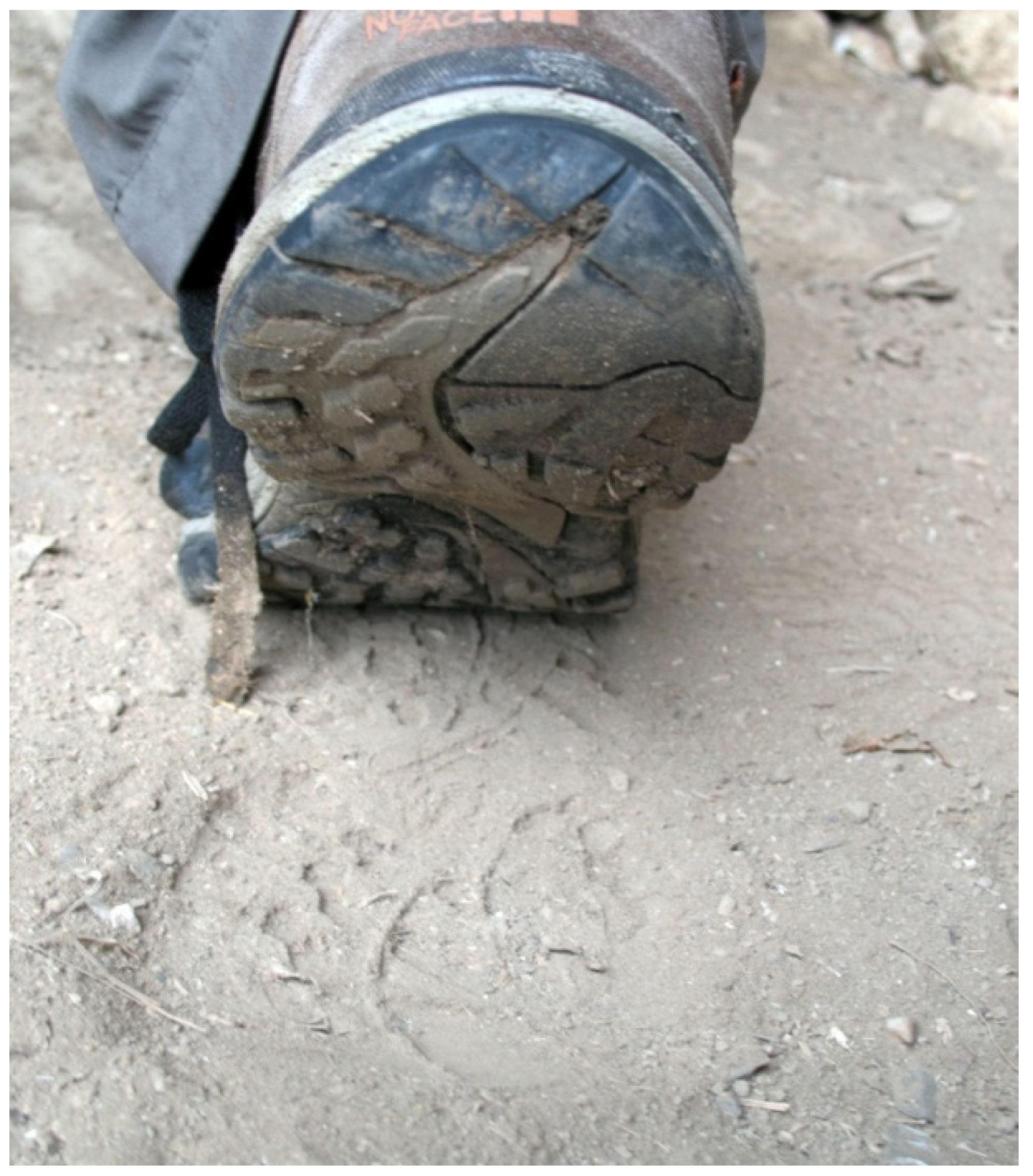 Education 12 00403 g001 Education 12 00403 g001