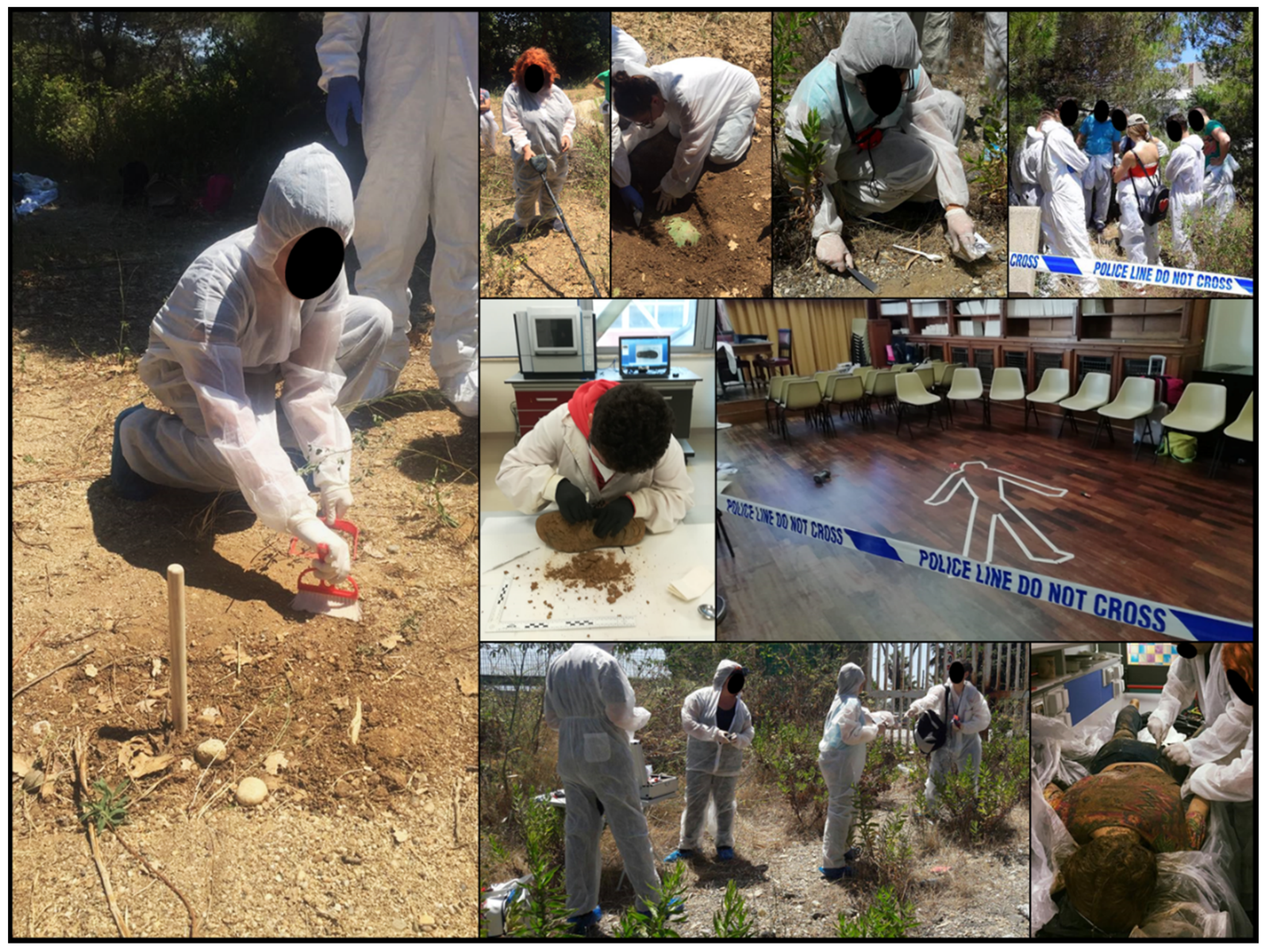 Education 12 00403 g003 Education 12 00403 g003