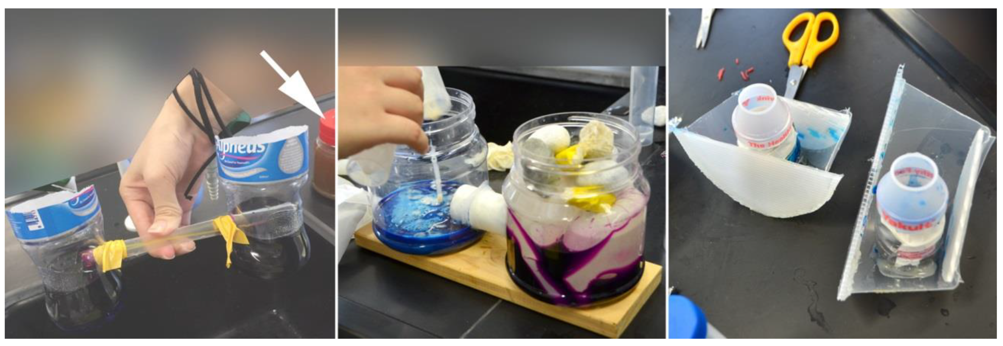 Education 12 00417 g003 550