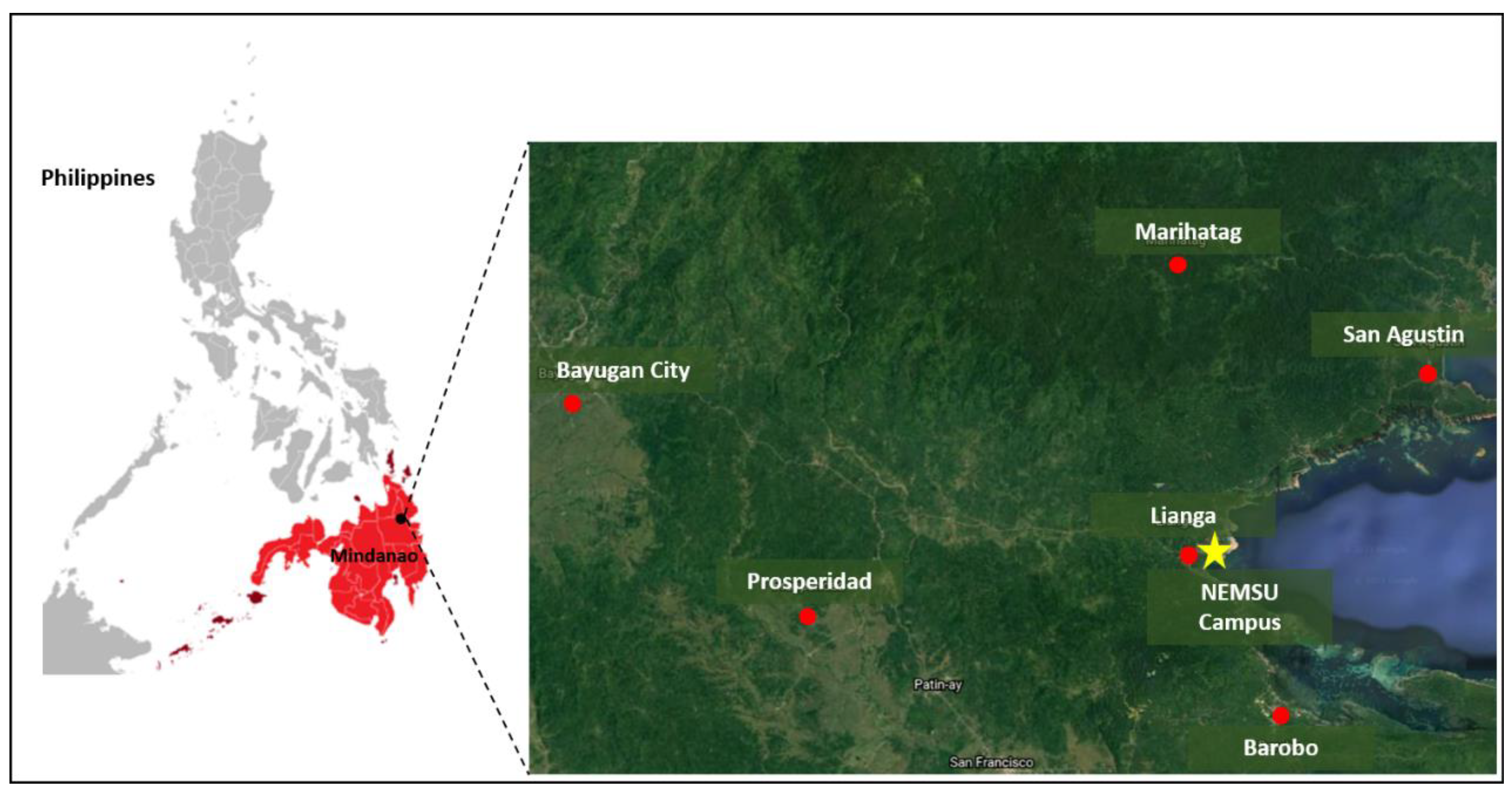 Education 12 00449 g001