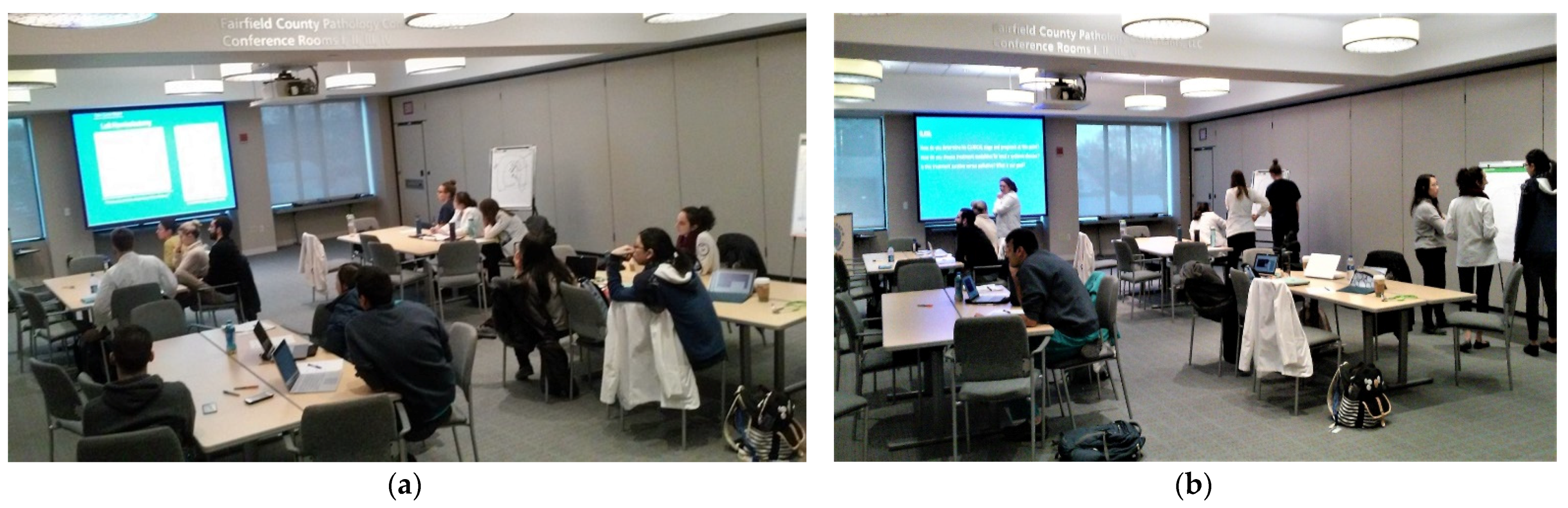 Education 12 00557 g005 550