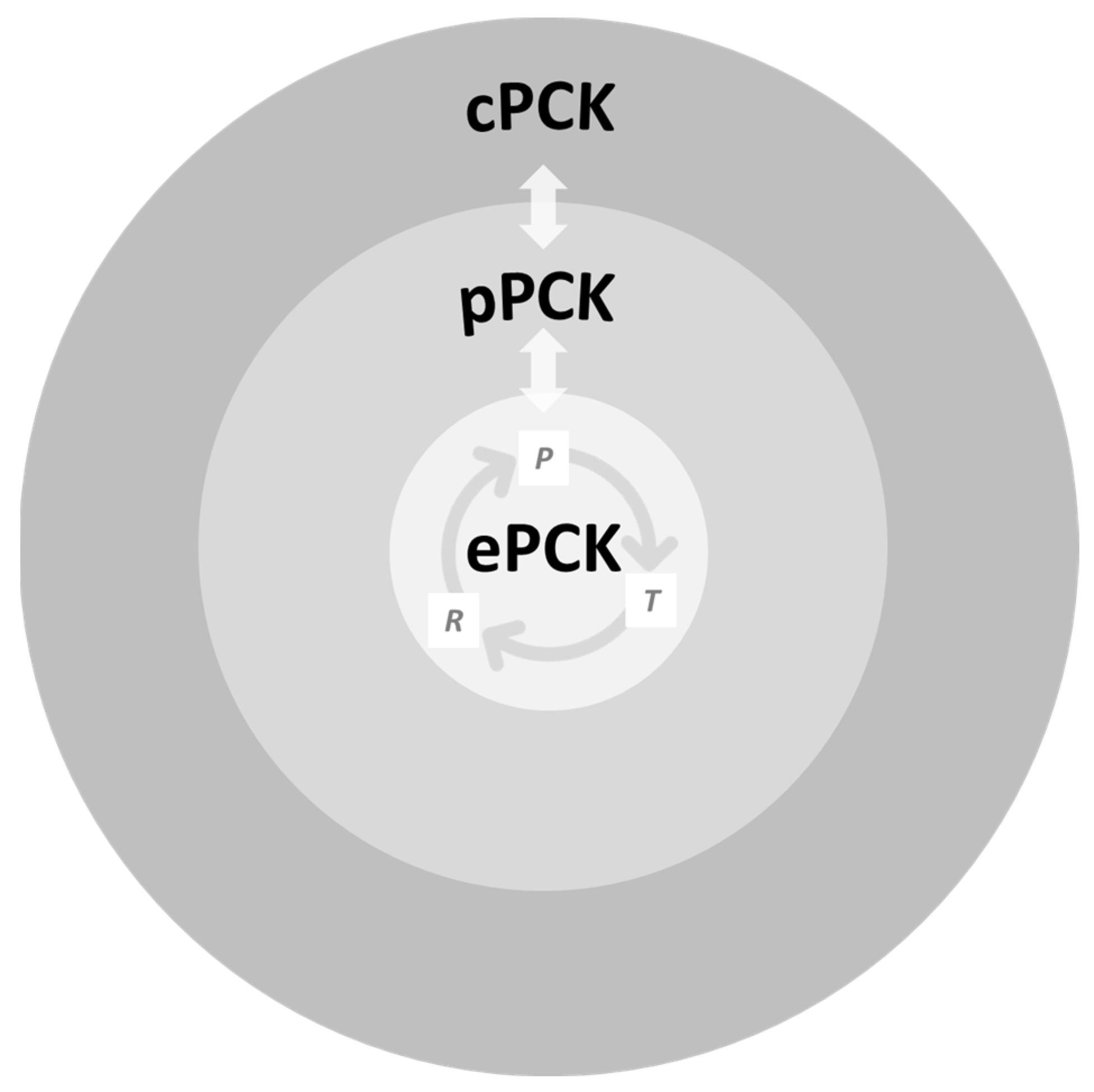 Education 12 00592 g001