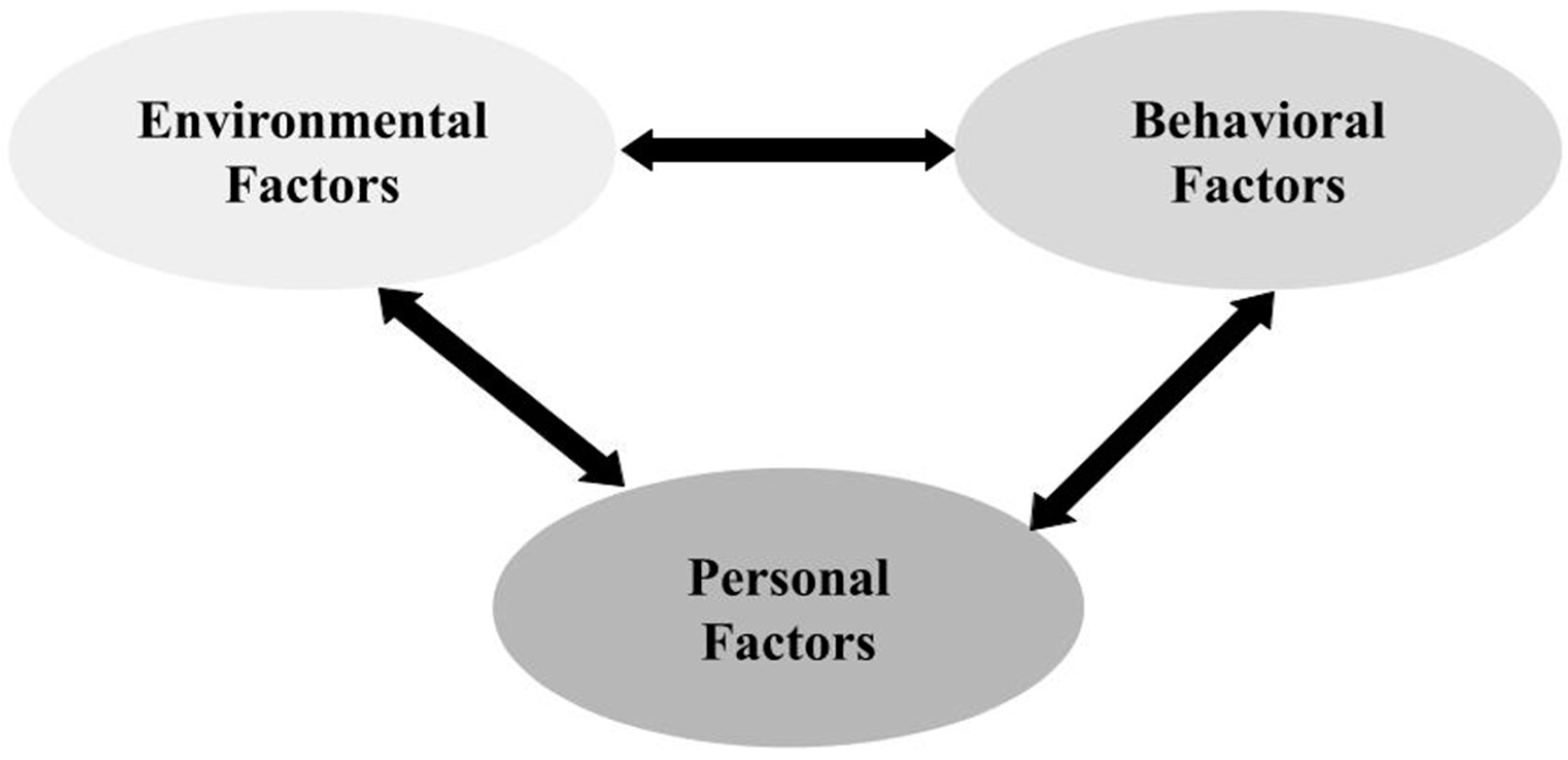 triadic reciprocal determinism