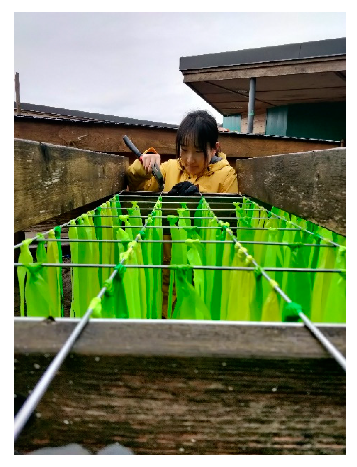 Education 12 00653 g013 550