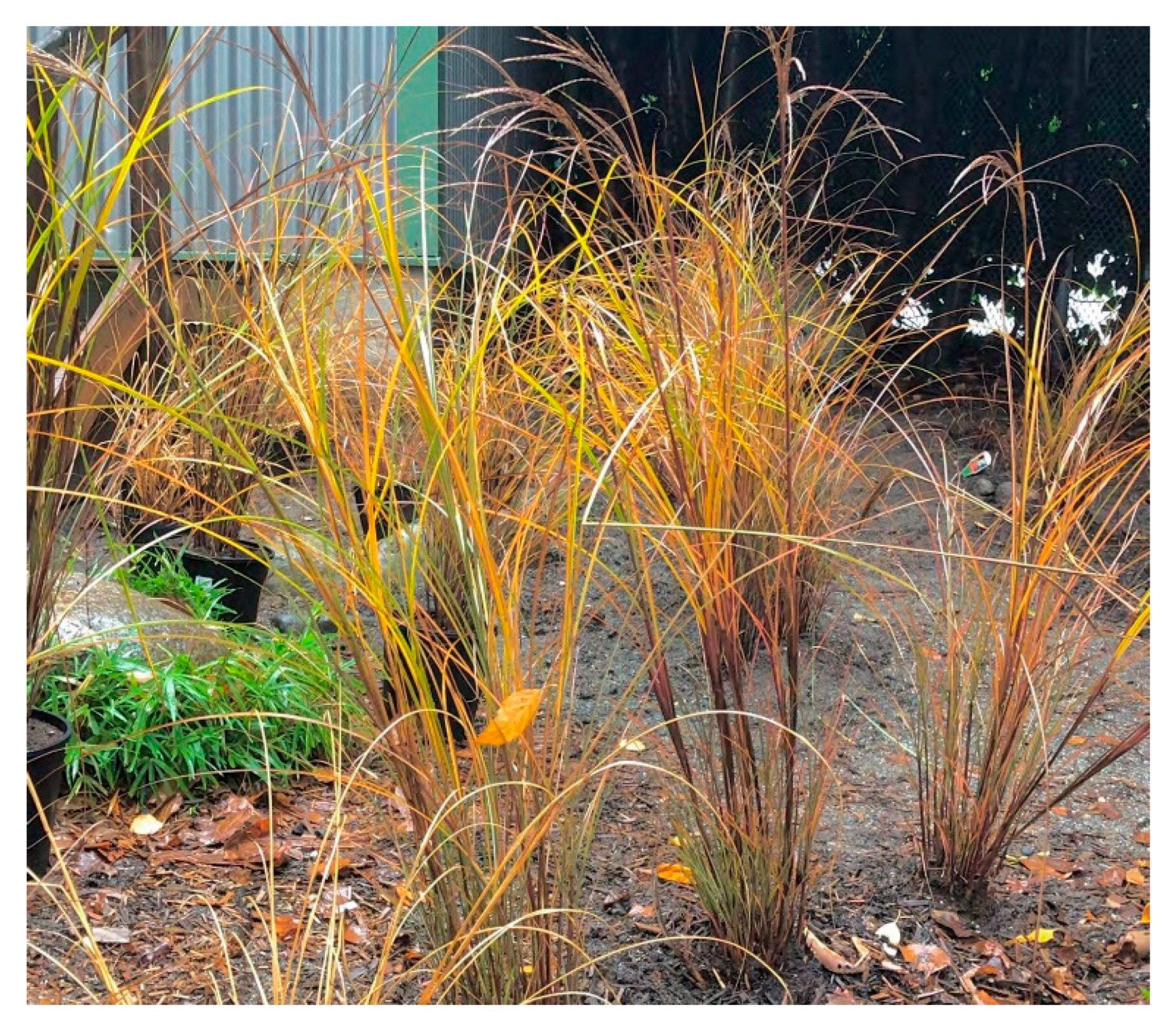 Education 12 00653 g024 550