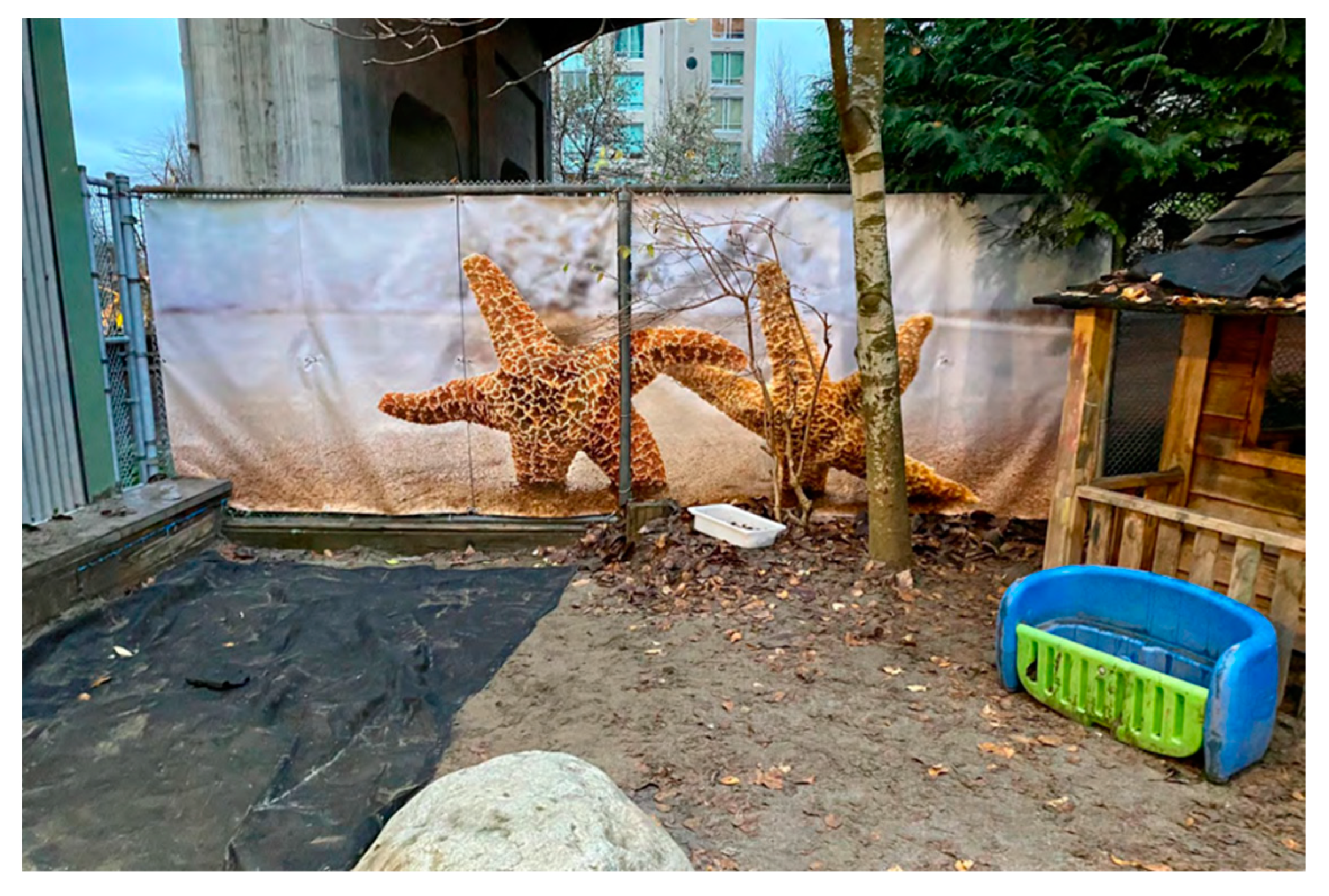 Education 12 00653 g026 550