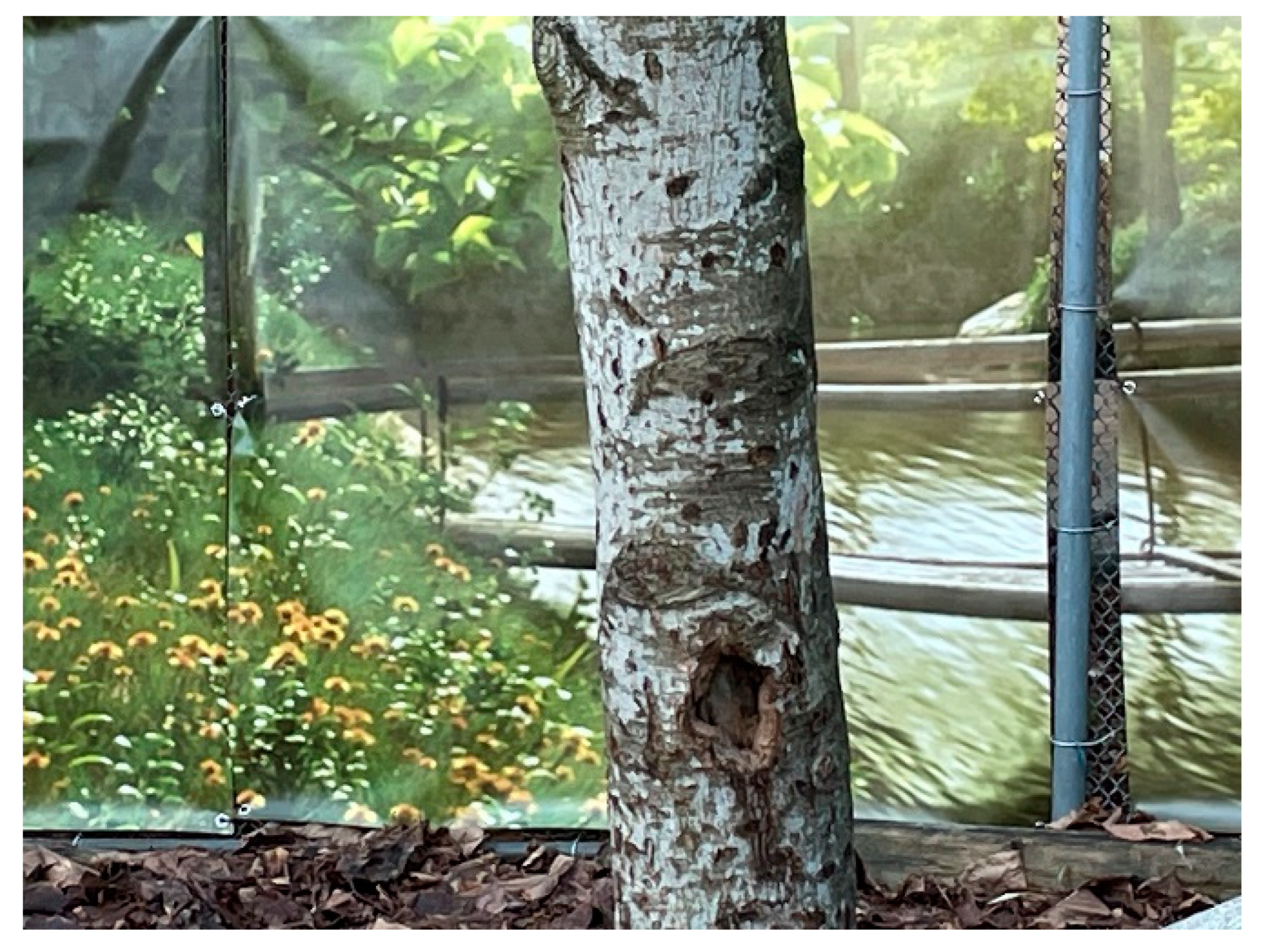 Education 12 00653 g028 550