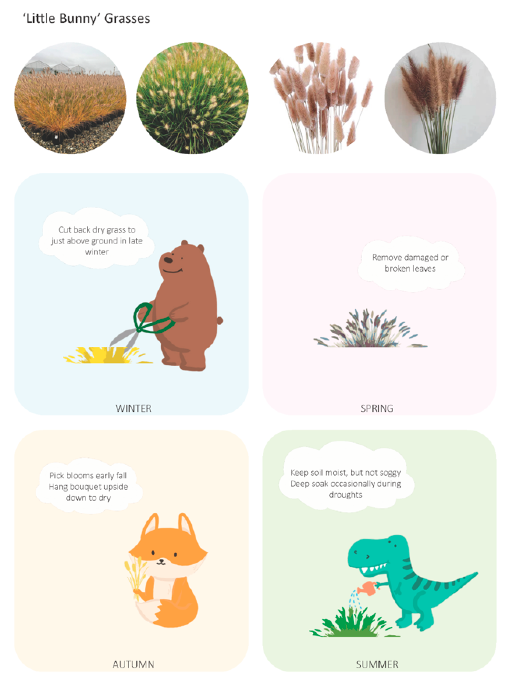 Education 12 00653 g036 550