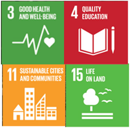 Education 12 00672 i001