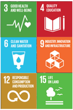 Education 12 00672 i002