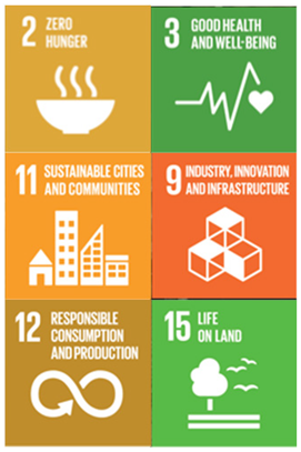 Education 12 00672 i006