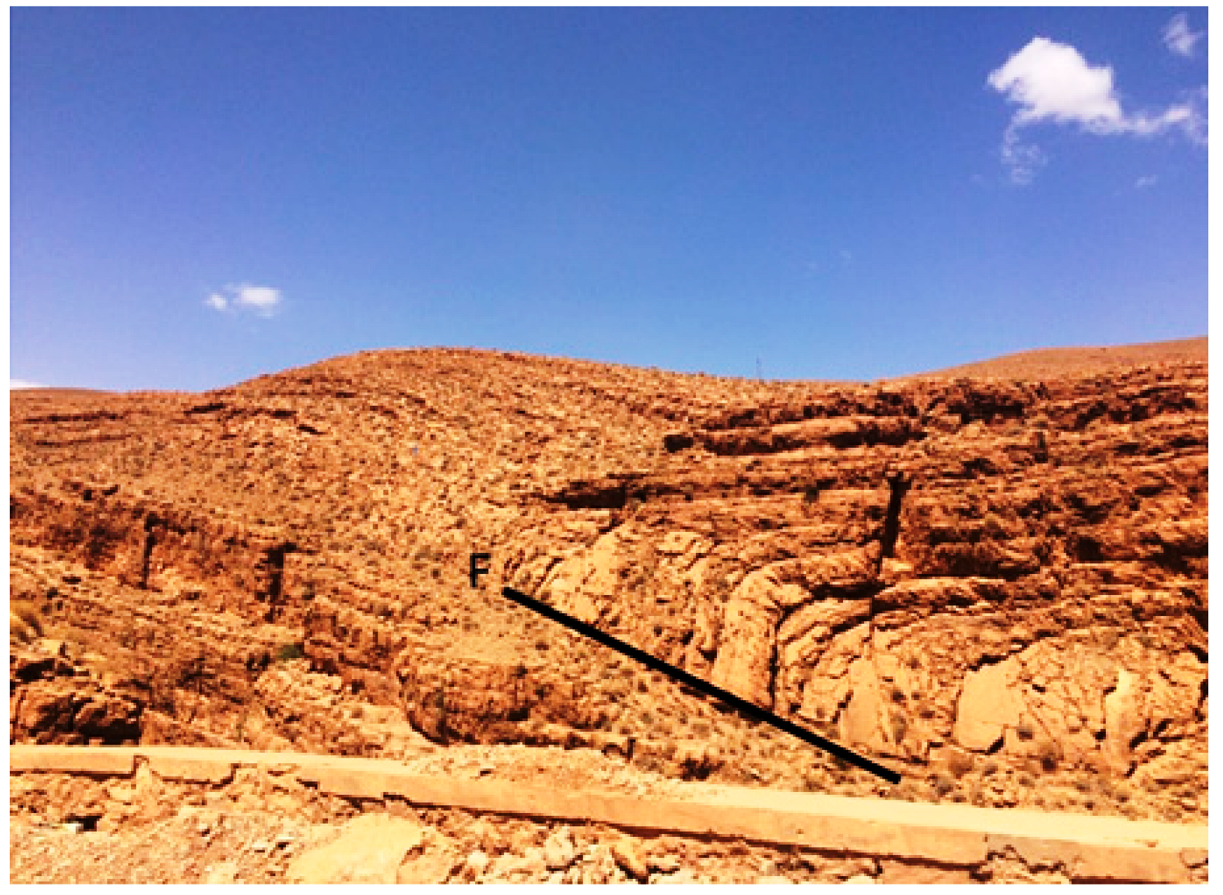 Education 12 00772 g005