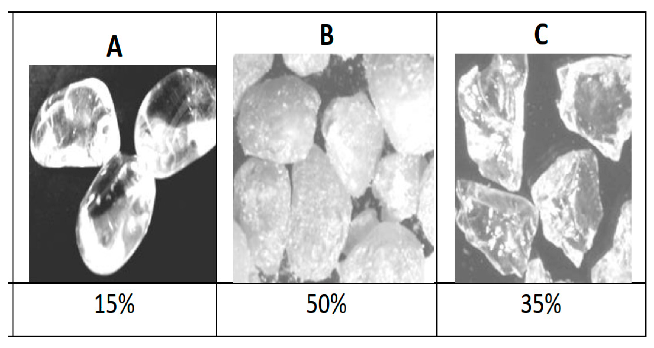 Education 12 00772 g0a5