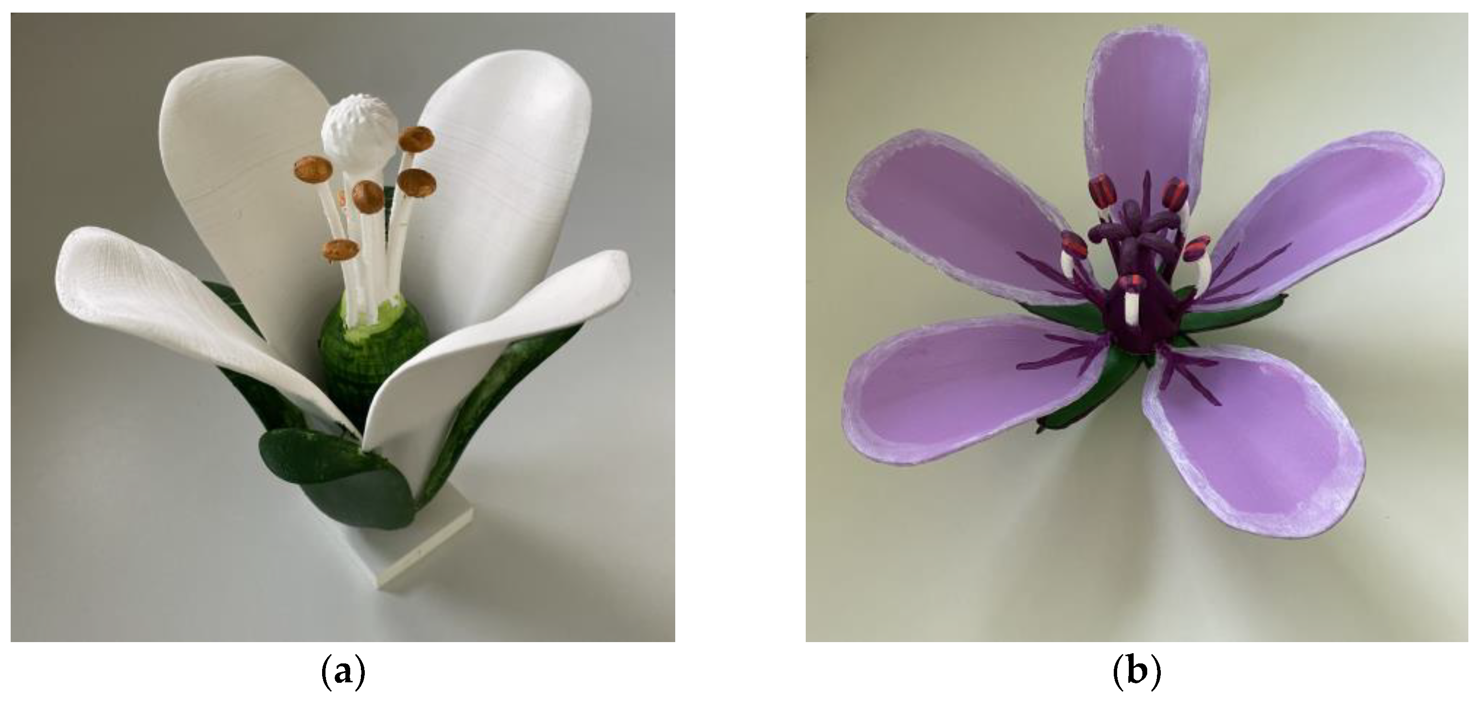 Education 12 00831 g001