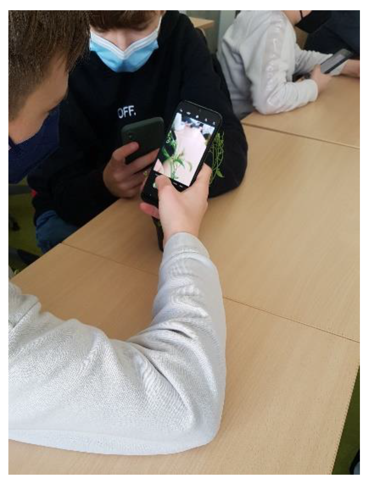 Education 12 00831 g011