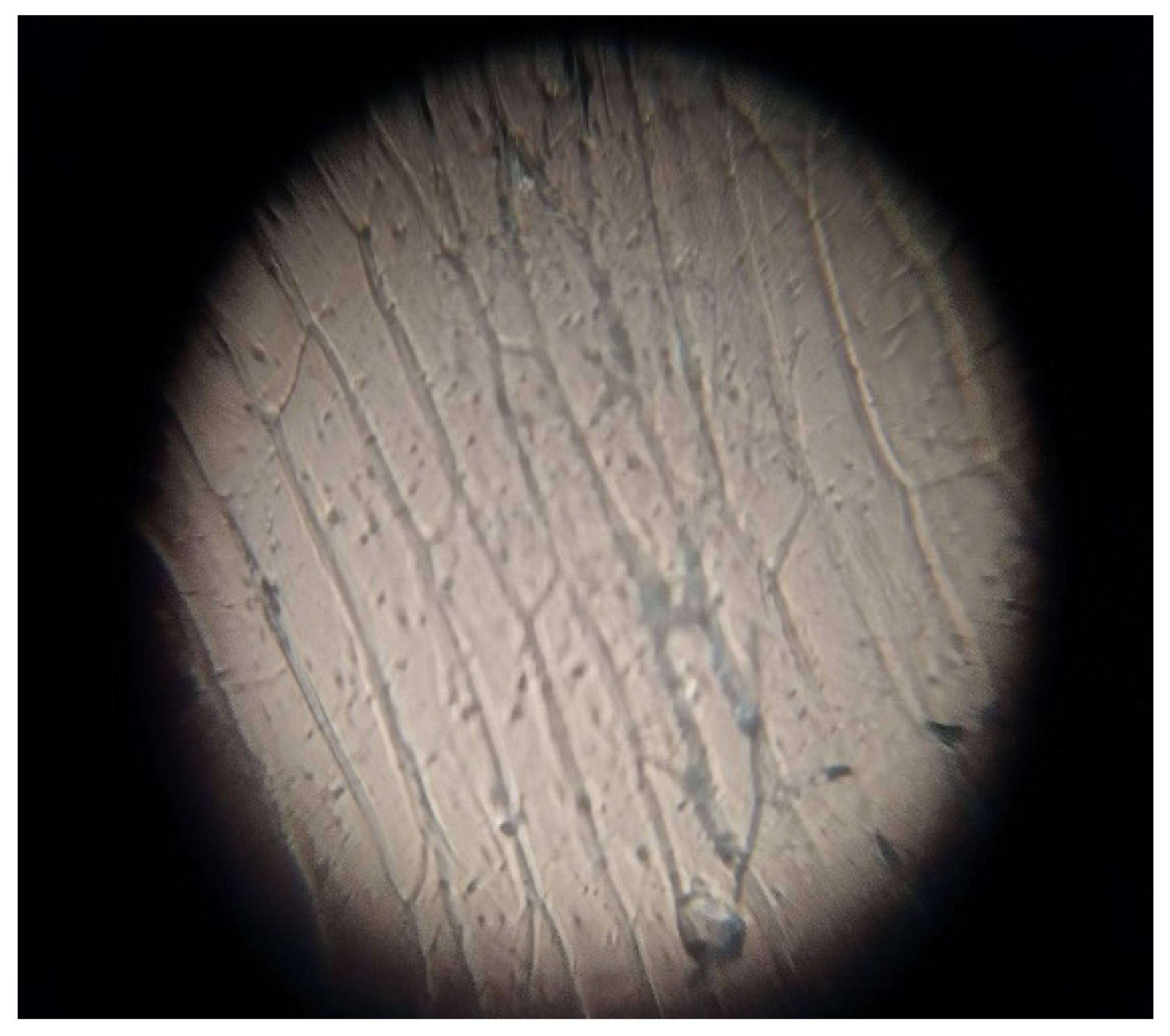 Education 12 00927 g003 Education 12 00927 g003