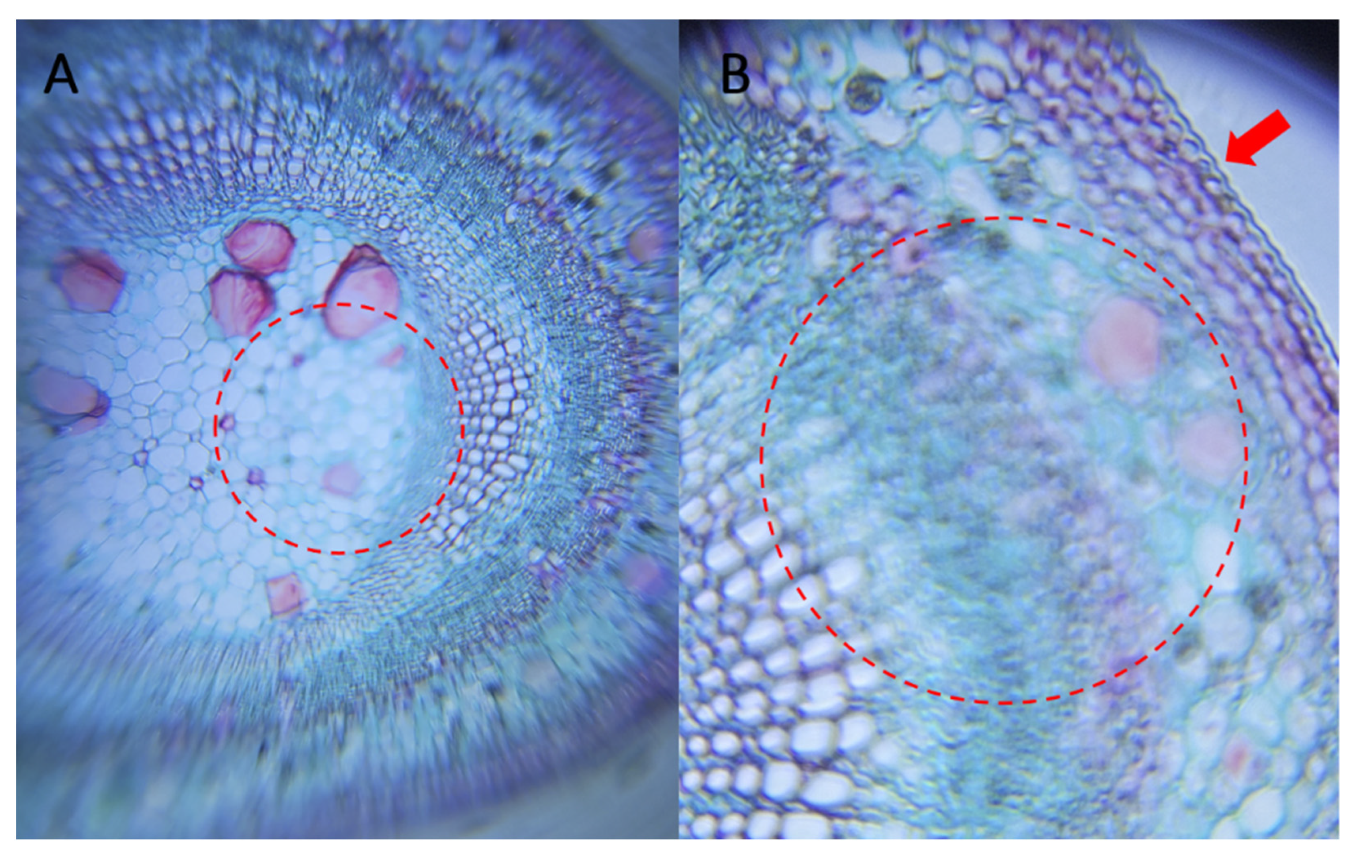 Education 12 00927 g004 Education 12 00927 g004