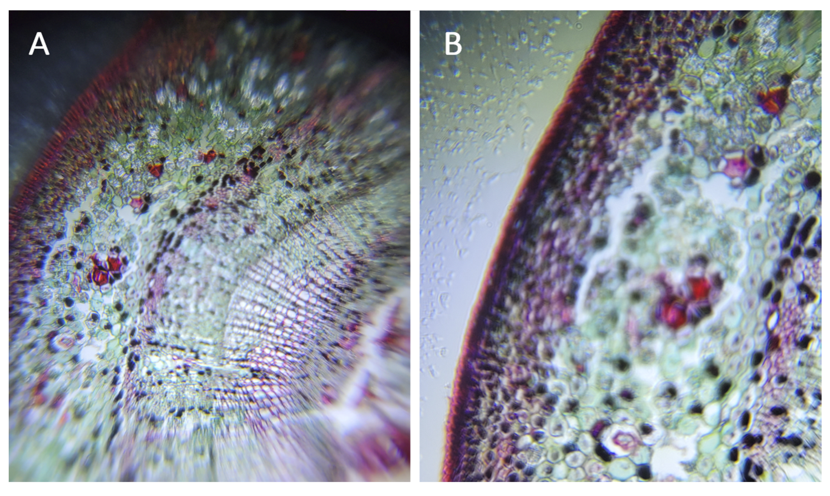 Education 12 00927 g006 Education 12 00927 g006