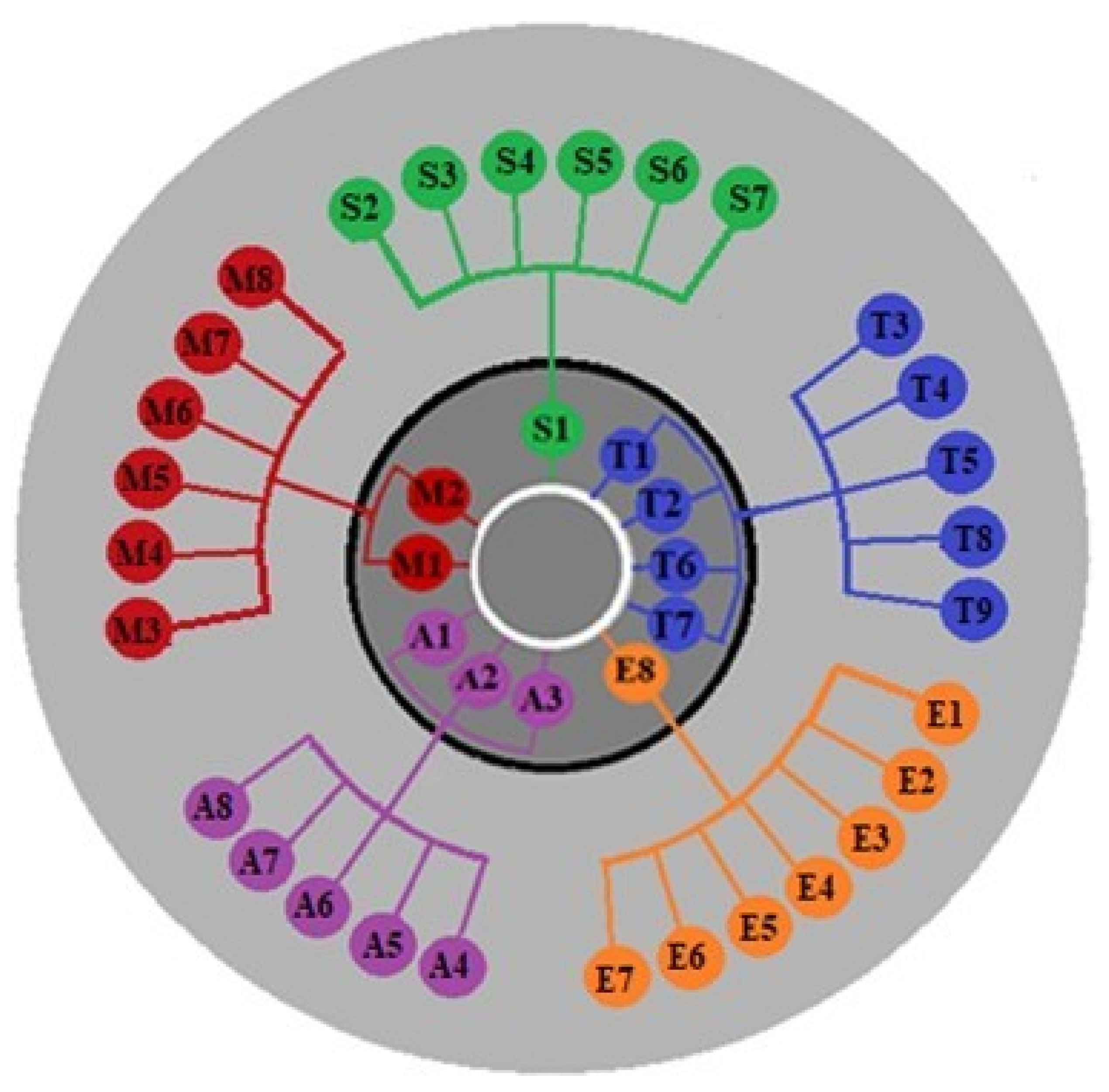 Education 13 00169 g006