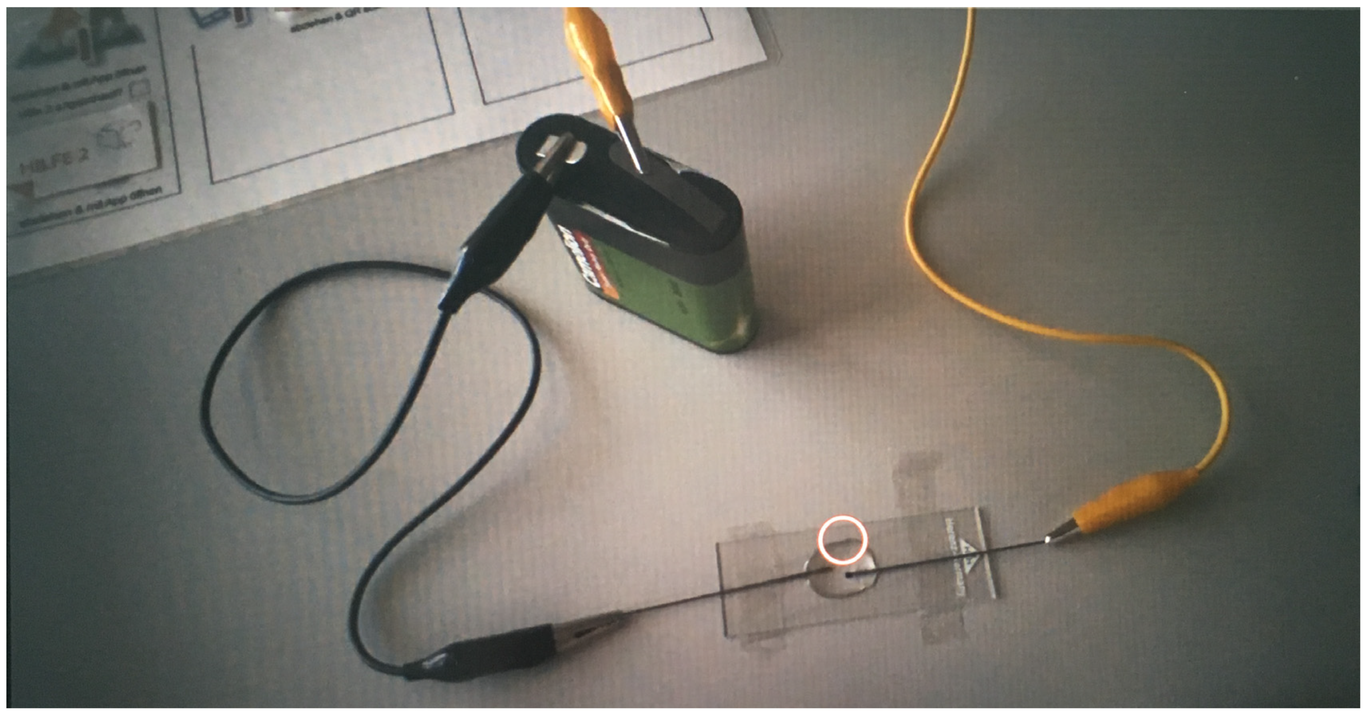 Education 13 00170 g001 550