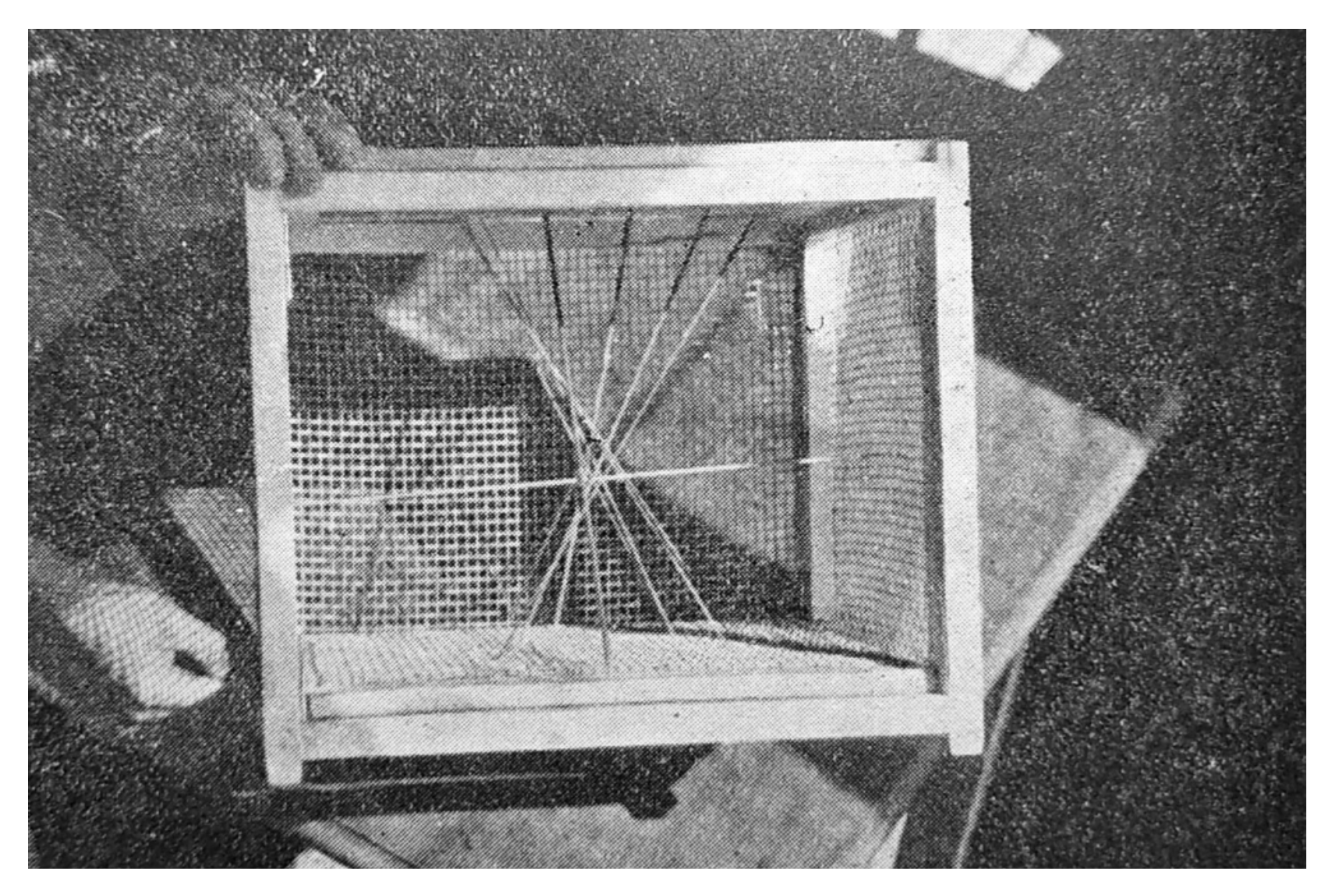 Education 13 00265 g009