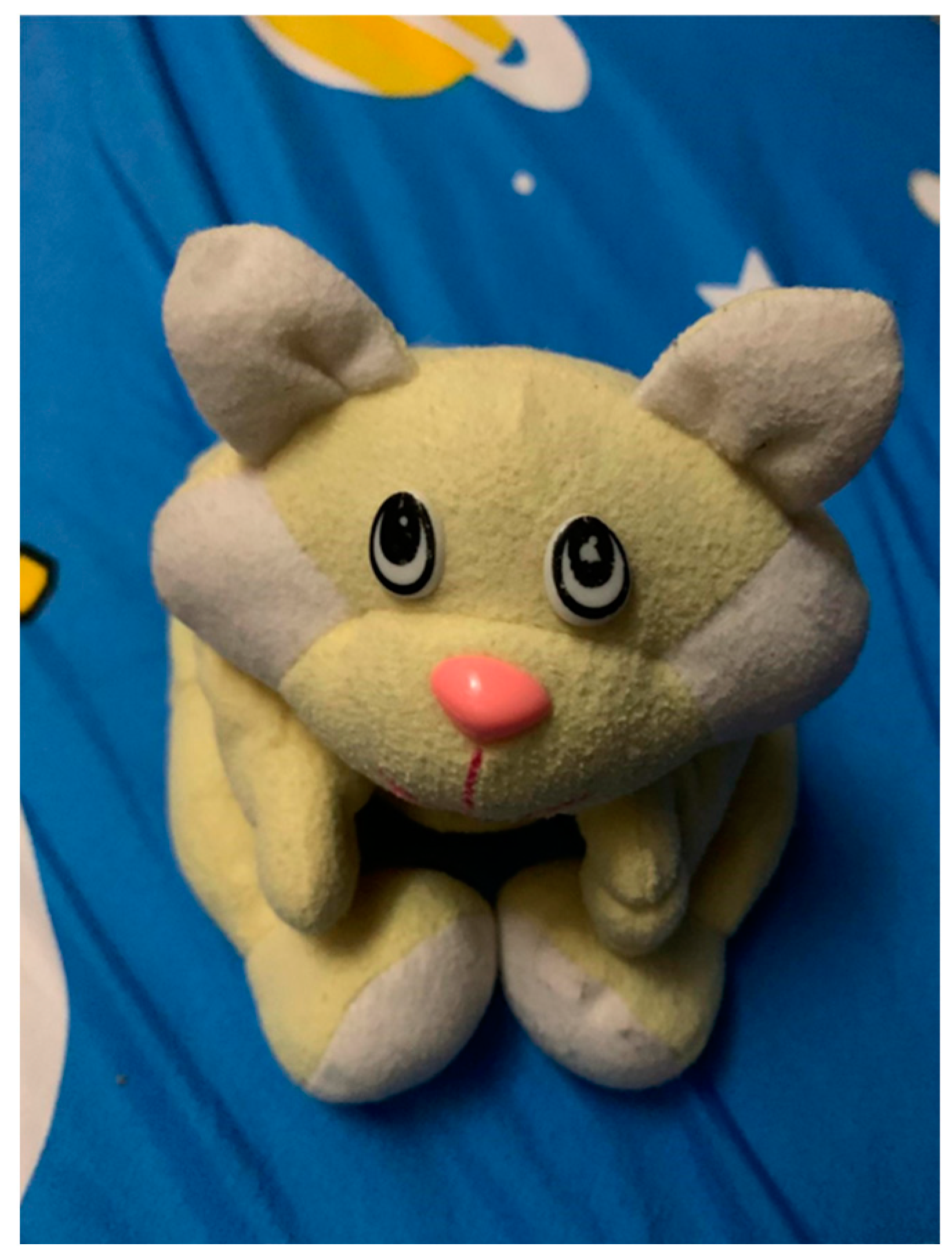 Education 13 00342 g004 Education 13 00342 g004