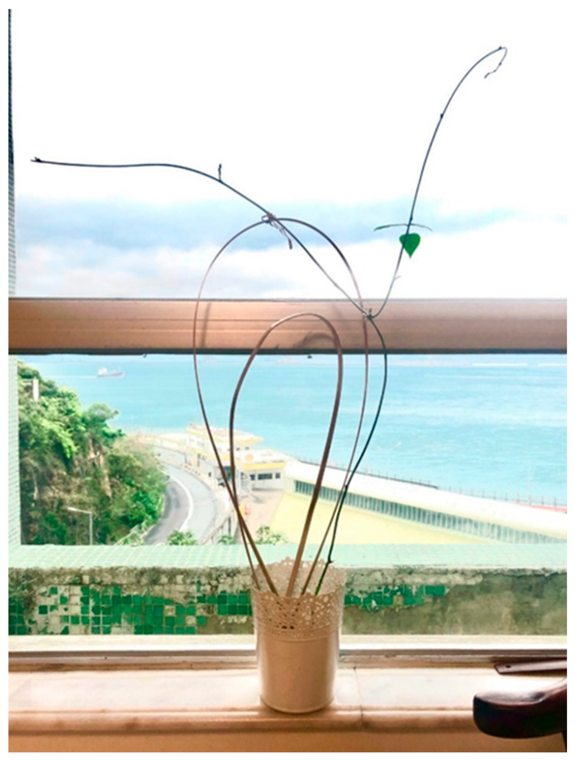 Education 13 00342 g012 Education 13 00342 g012