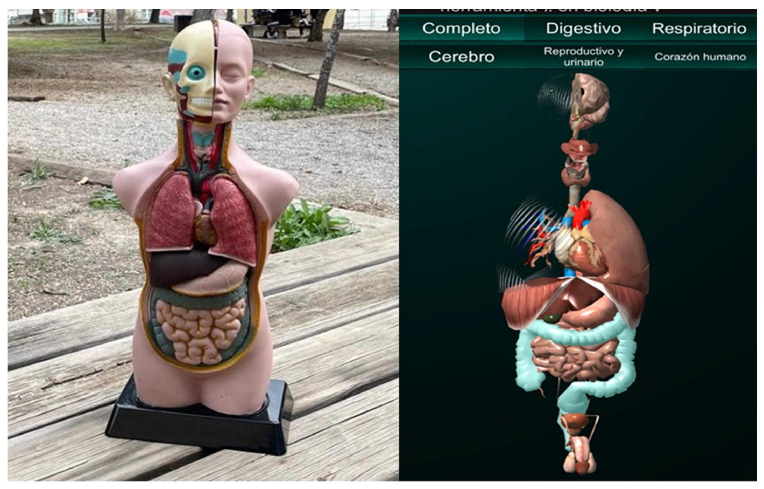 Education 13 00343 g002 Education 13 00343 g002