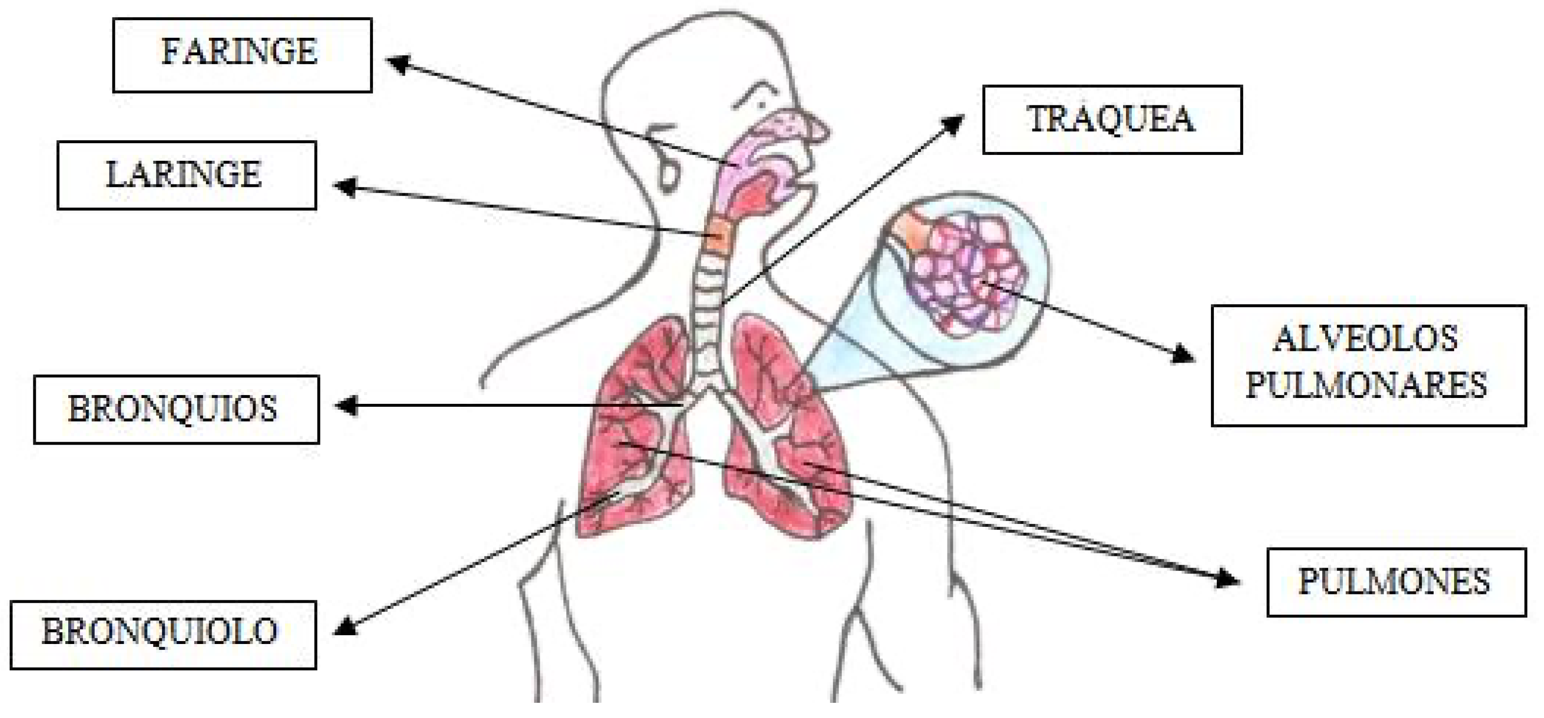 Education 13 00343 g004 Education 13 00343 g004