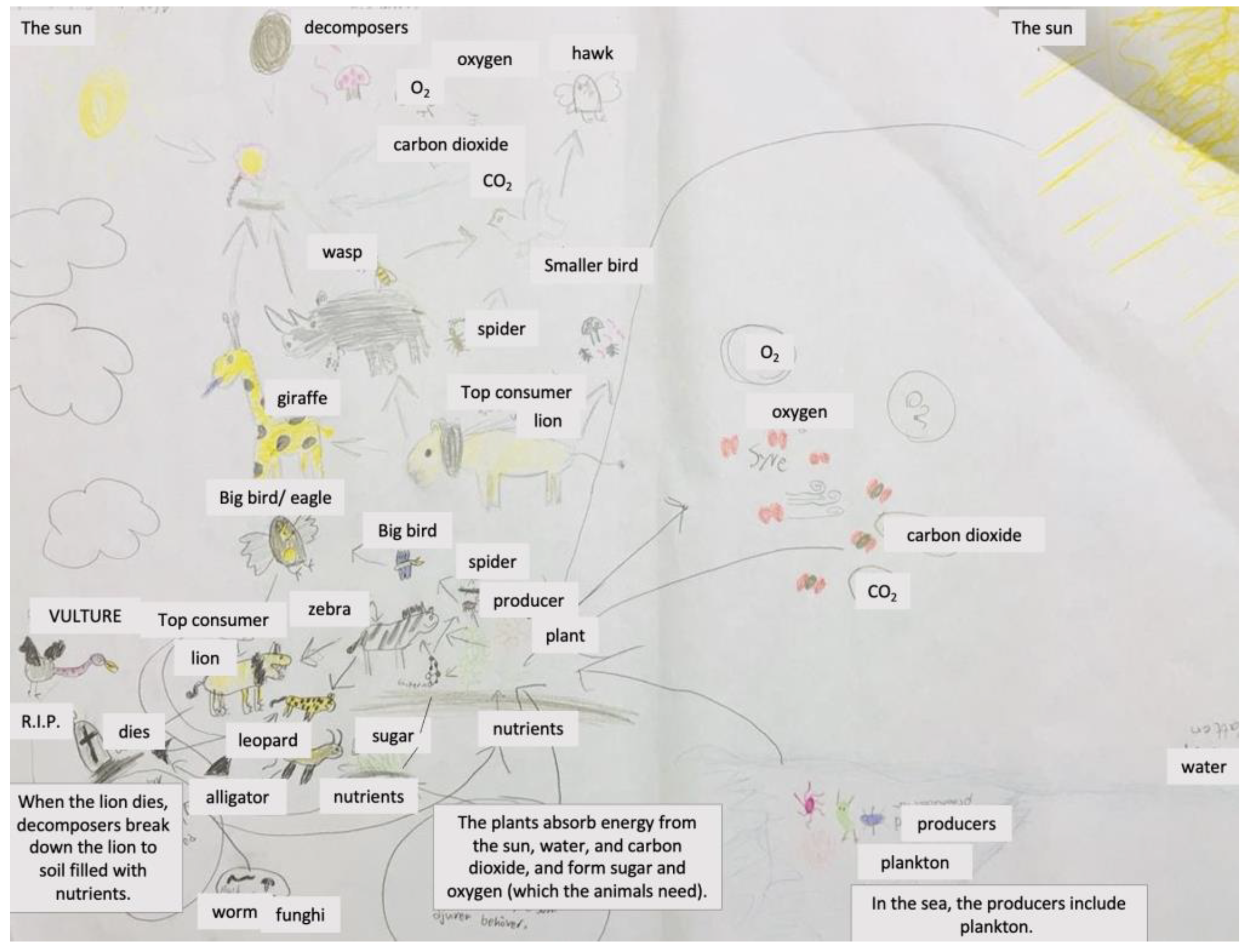 Education 13 00443 g004 Education 13 00443 g004