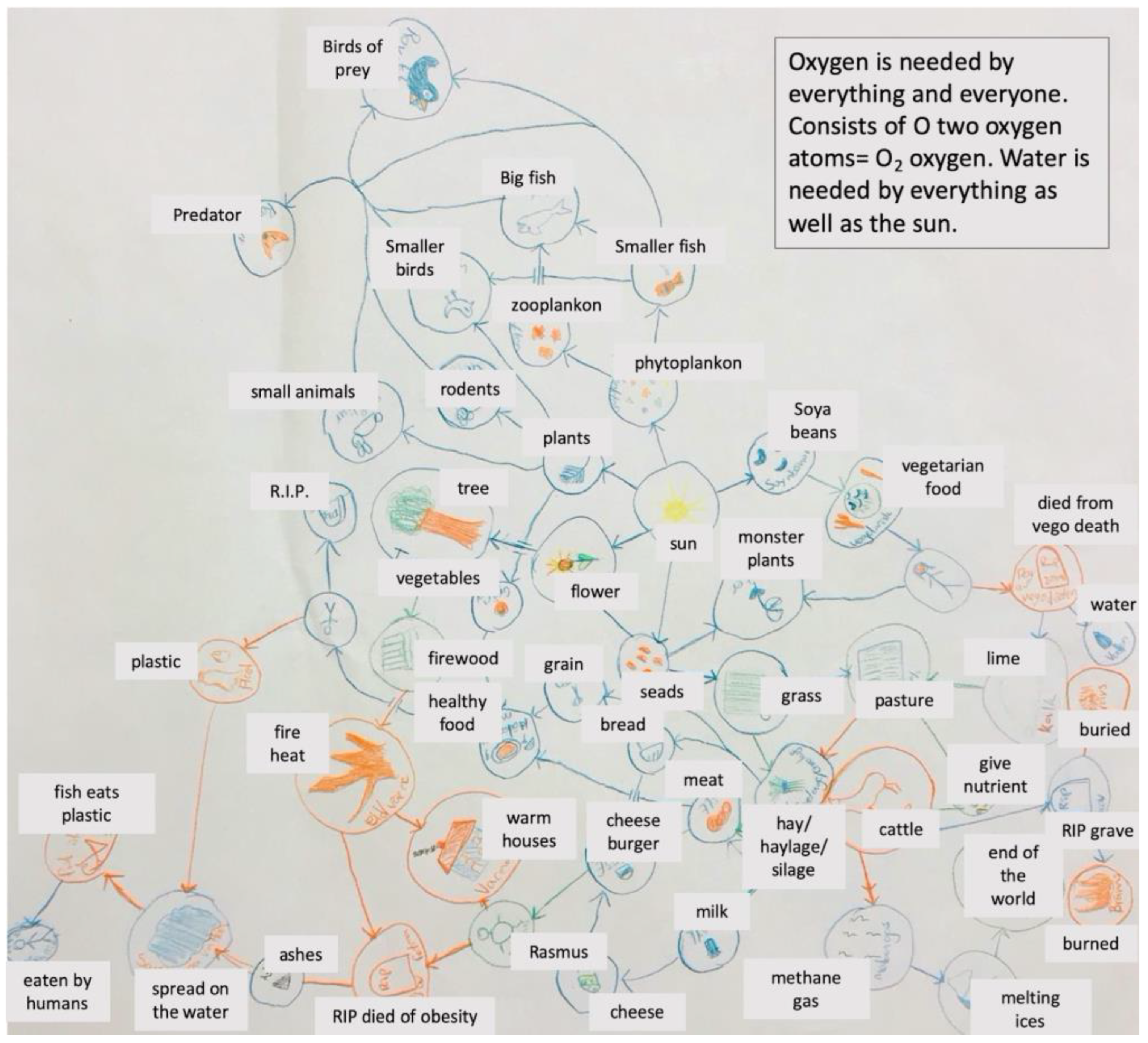 Education 13 00443 g005 Education 13 00443 g005