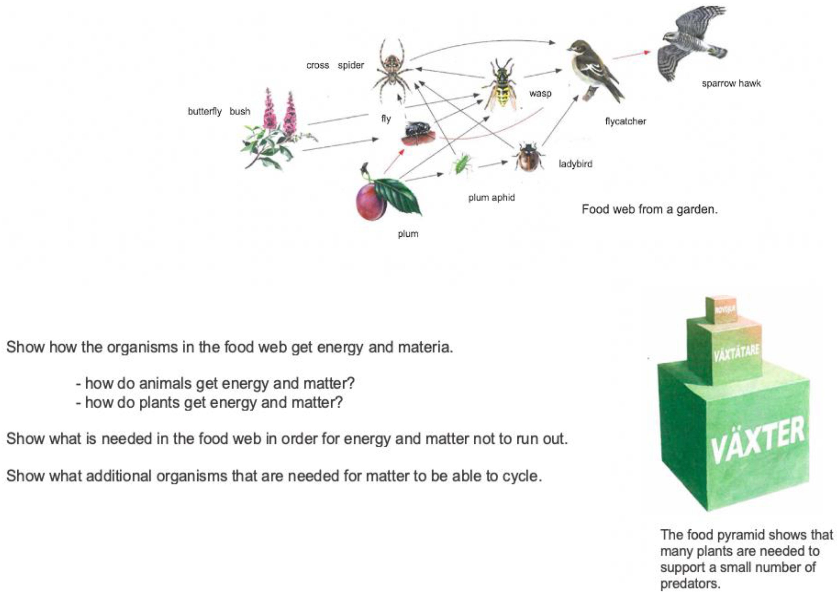 Education 13 00443 g0a1 Education 13 00443 g0a1