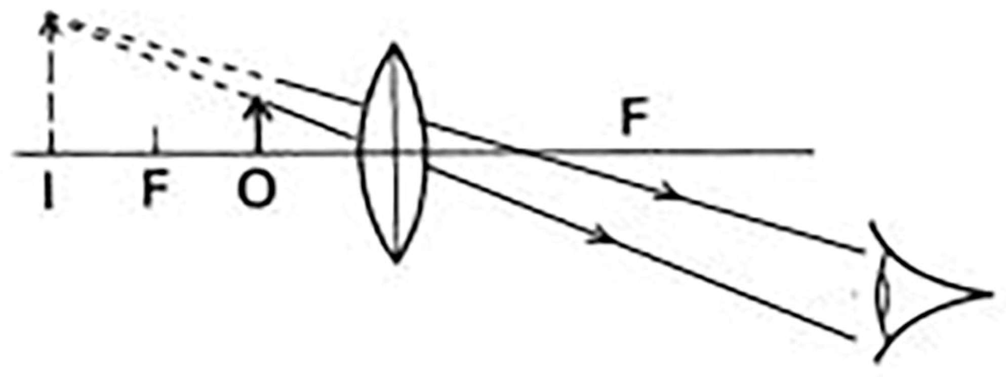 Education 13 00445 g003 Education 13 00445 g003