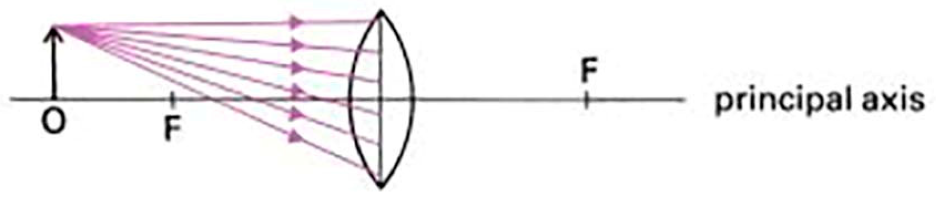 Education 13 00445 g004 Education 13 00445 g004