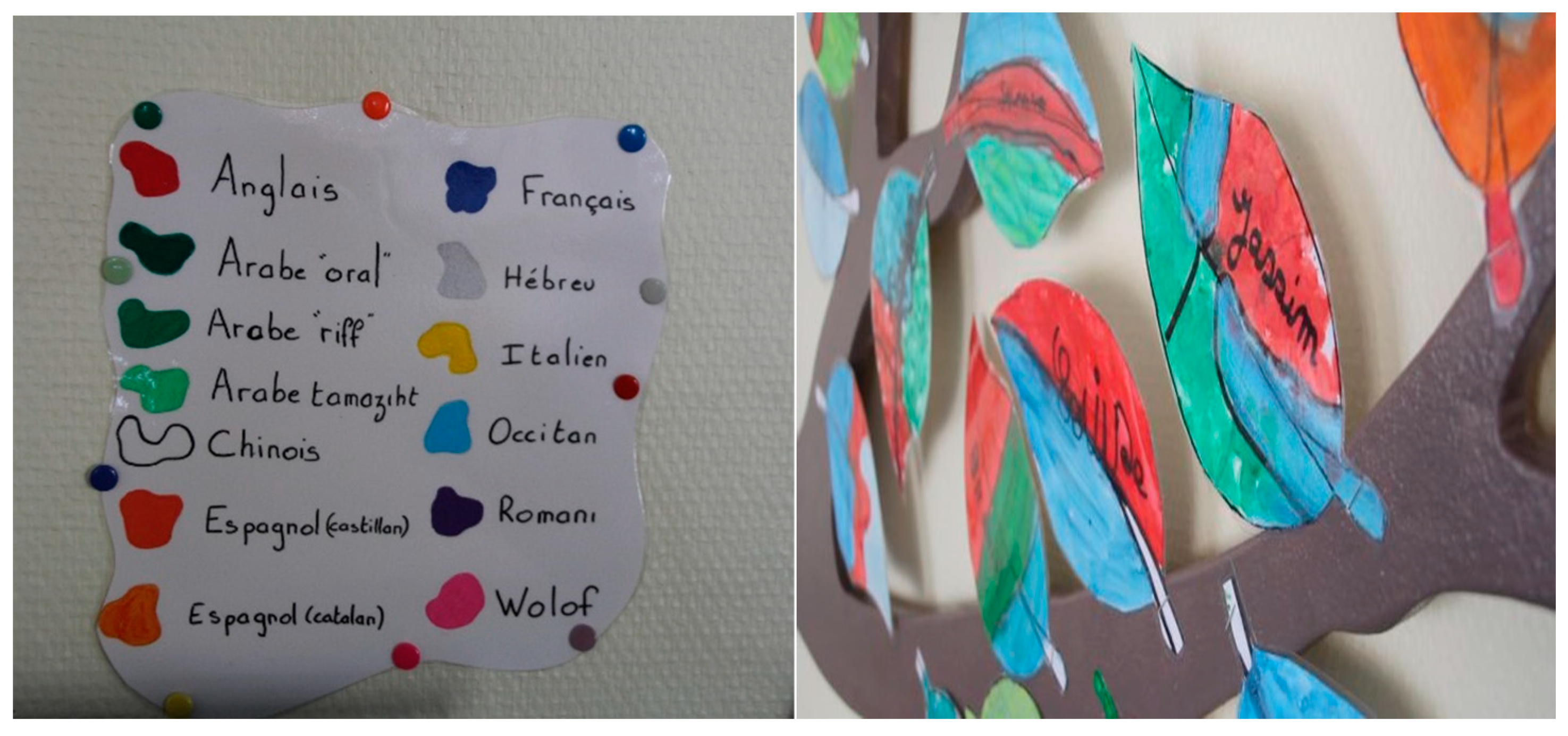 Education 13 00520 g012