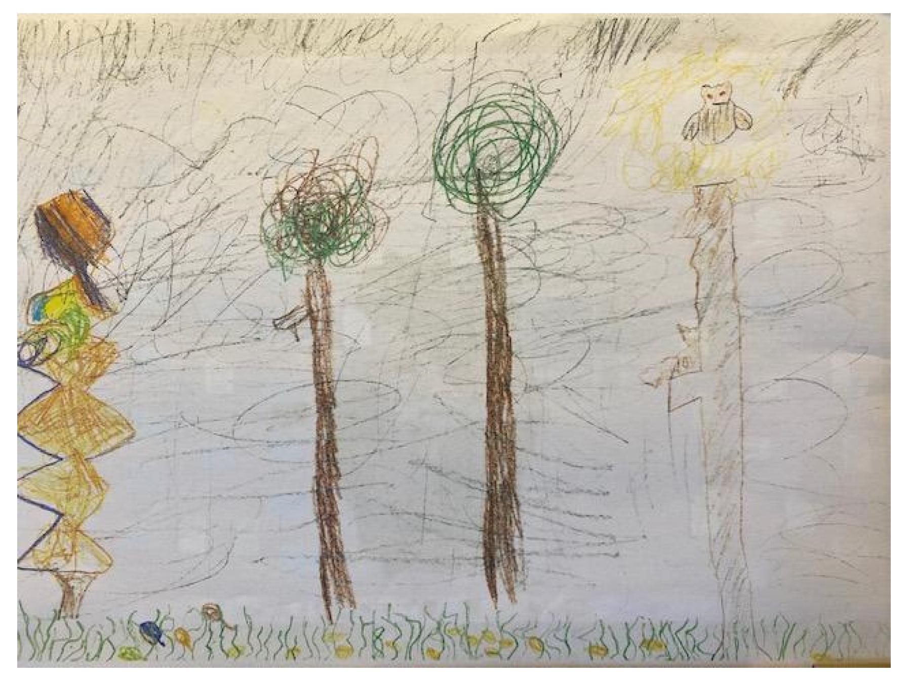 Education 13 00568 g005