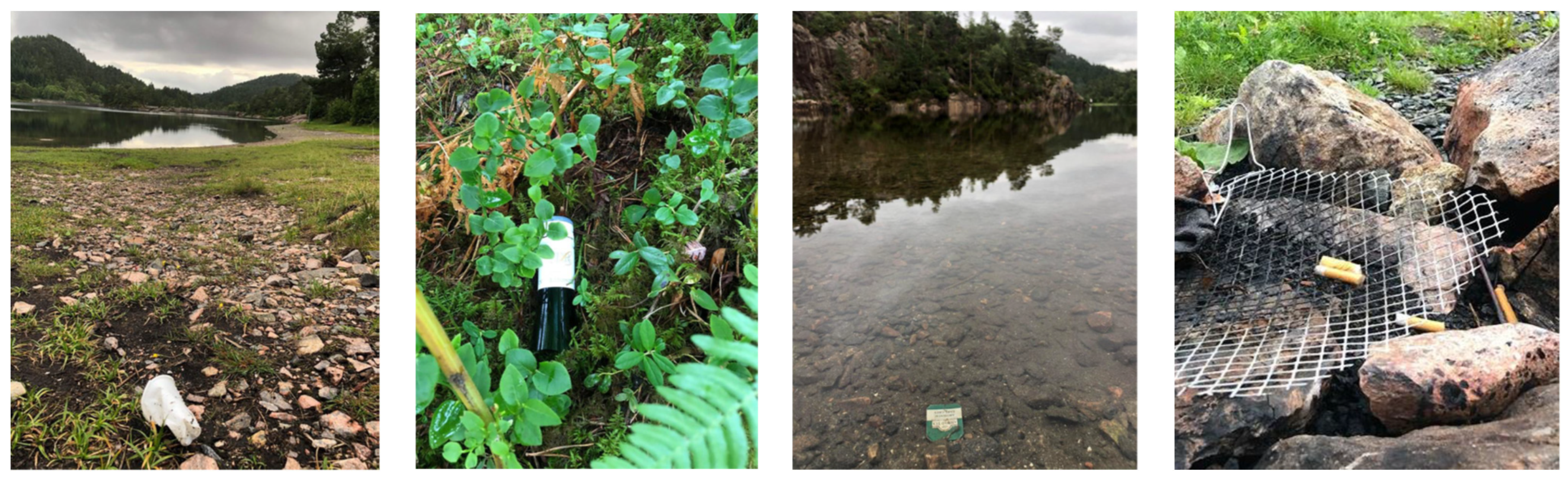 Education 13 00721 g002 Education 13 00721 g002