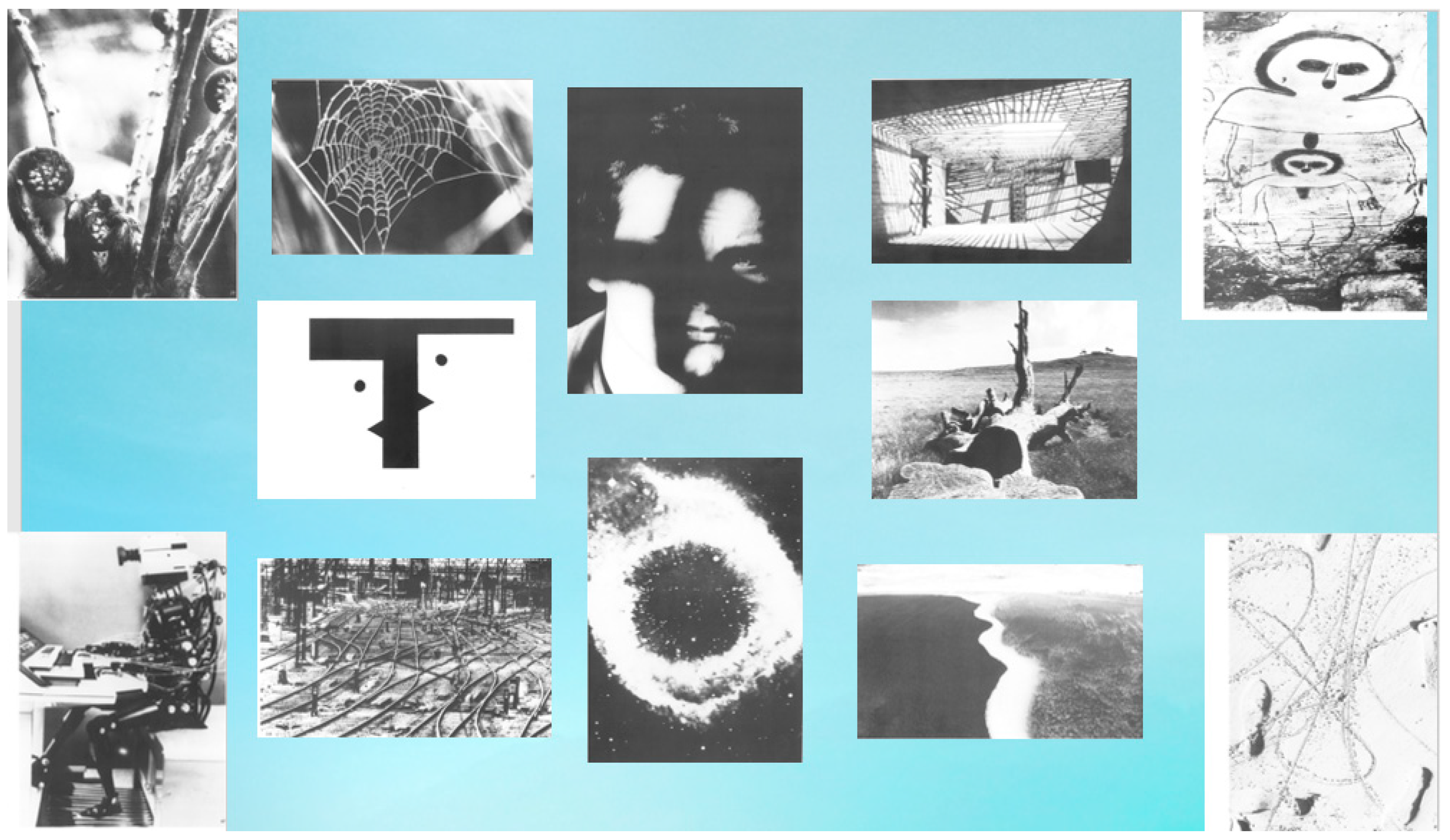 Education 13 00734 g001