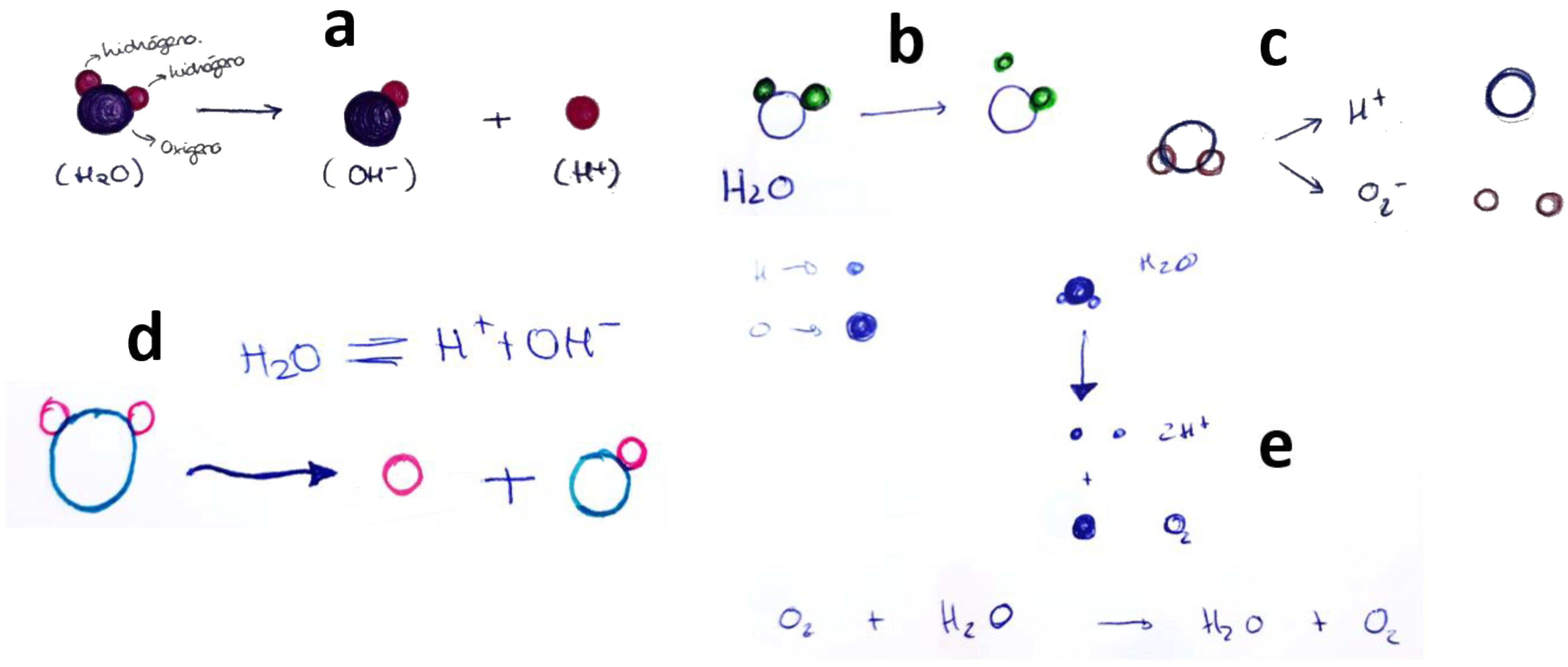 Education 13 00781 g003