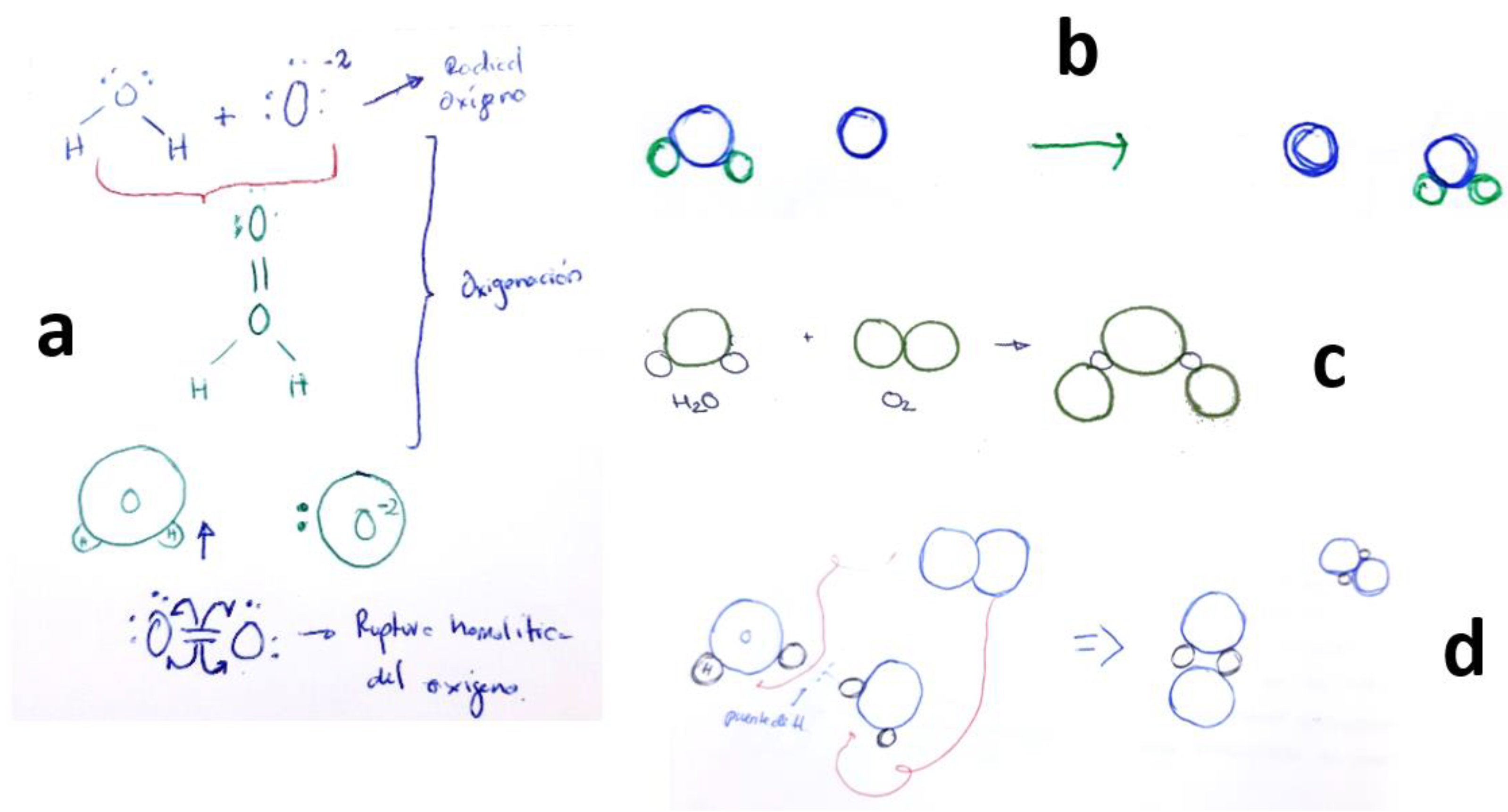 Education 13 00781 g004